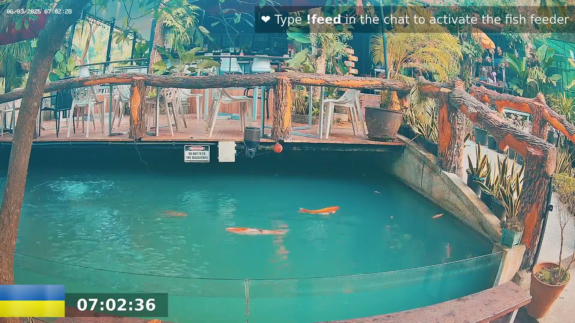 Several orange koi swim in a teal pond surrounded by a wooden deck with outdoor seating and potted plants.