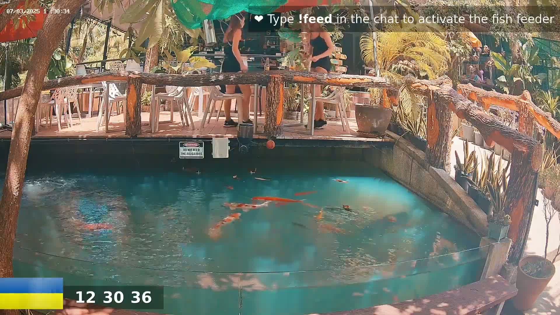 Koi swim in a pond below an outdoor restaurant patio on a sunny day.