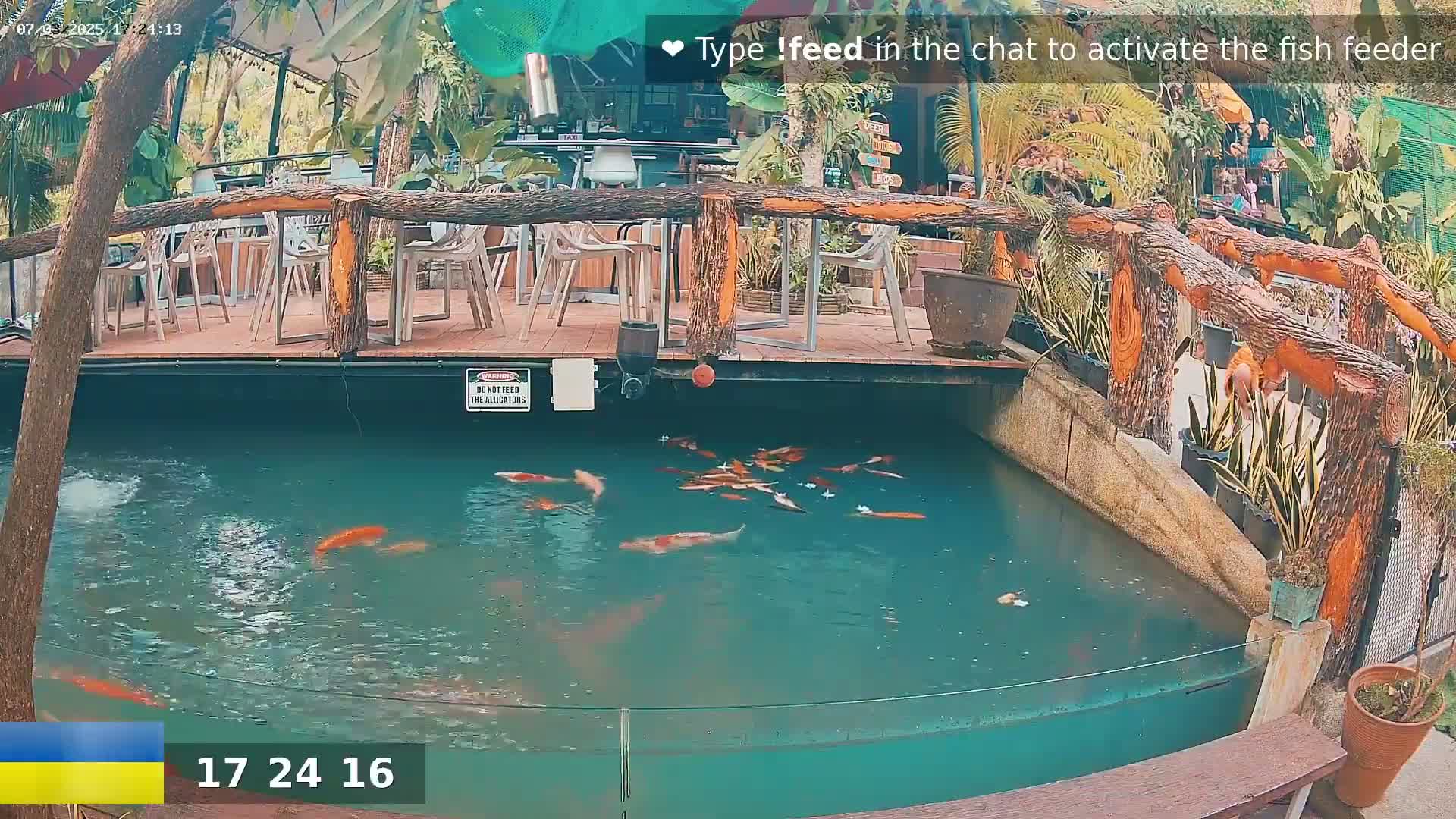 Koi fish swim in a pond next to an outdoor restaurant with a wooden deck and tropical plants.