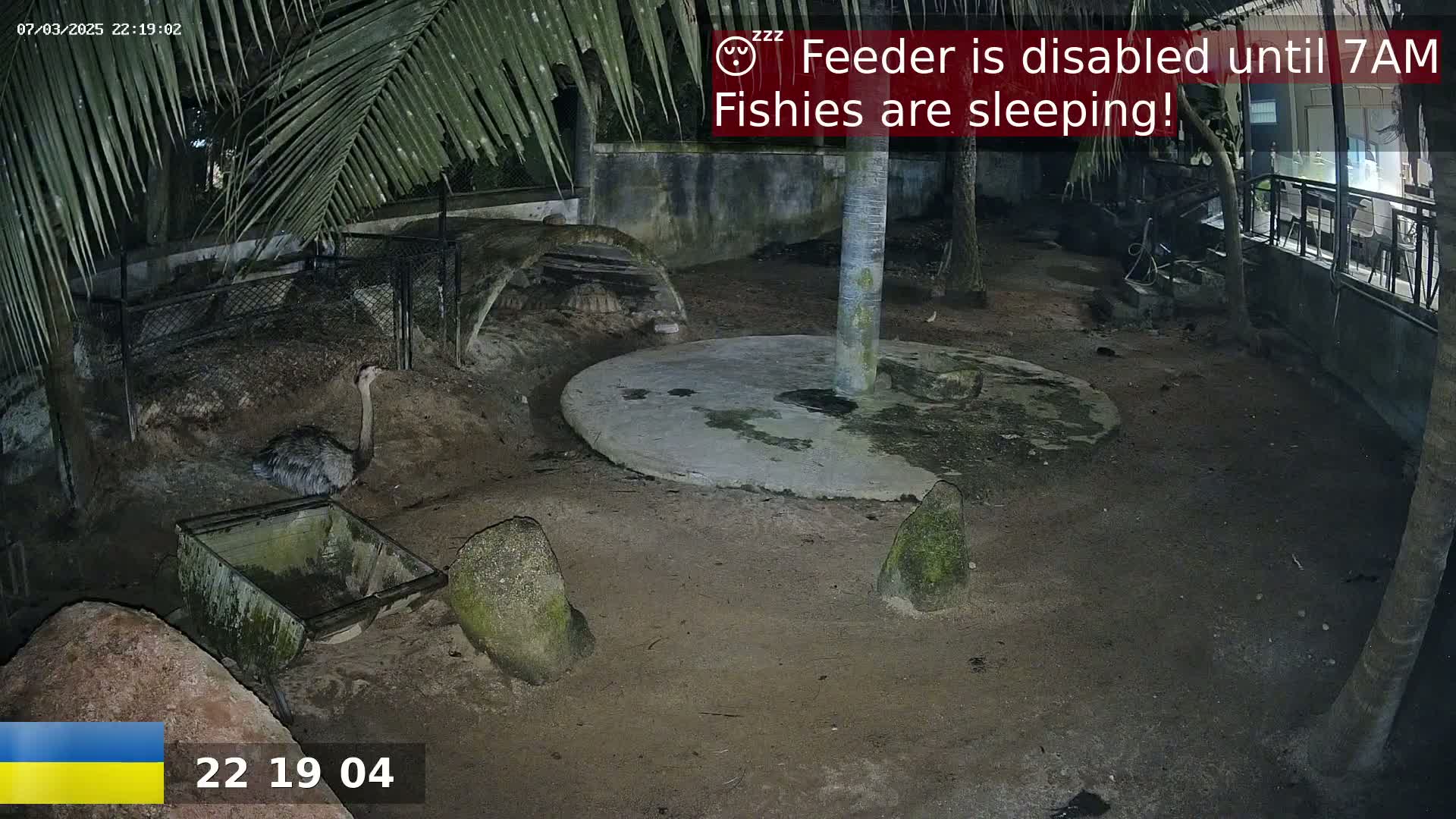 An outdoor enclosure at night, under palm fronds, shows a rhea standing near a small cart and several rocks, with a concrete circle and a tree trunk in the center.