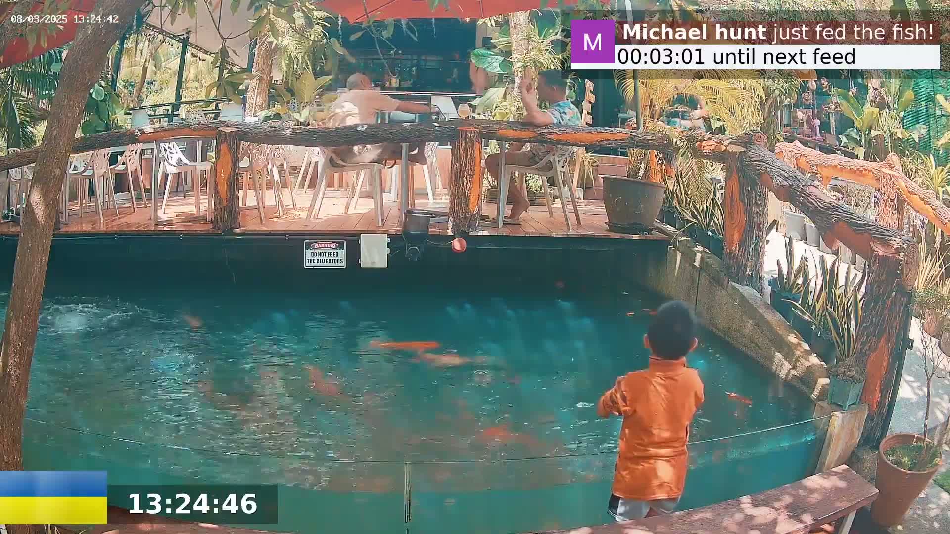 A child in an orange shirt stands by a pond filled with fish, near an outdoor restaurant with people sitting at tables under a shaded patio on a sunny day.