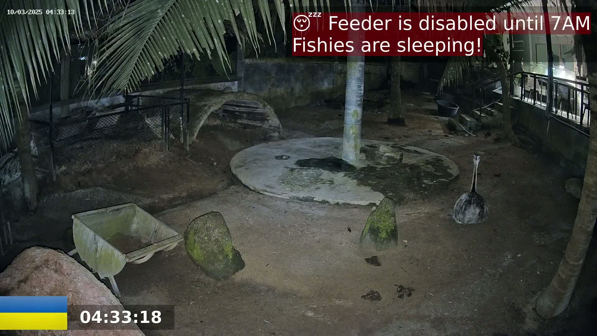 At night, an emu stands in an enclosure surrounded by rocks, a wheelbarrow, and structures, under palm trees.