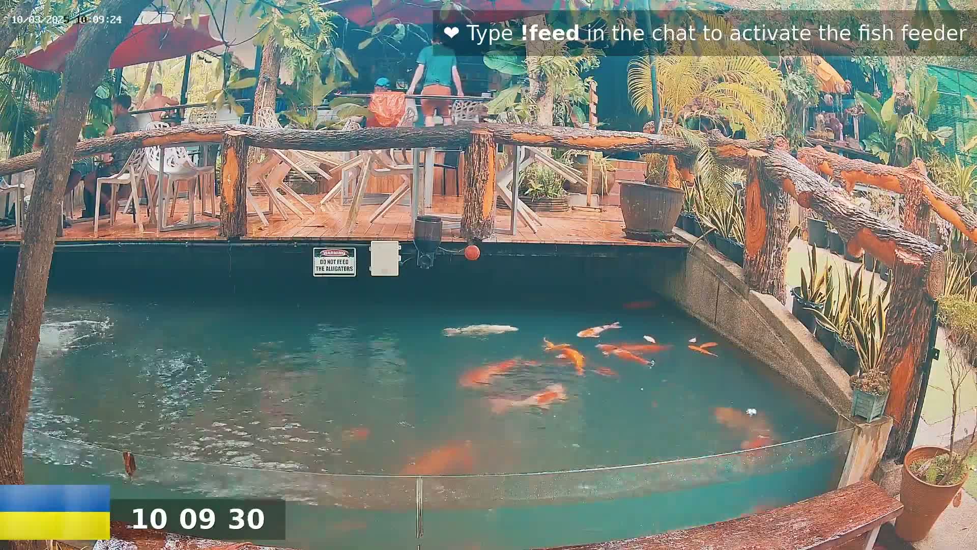 A koi pond with several orange and white fish is situated beneath an outdoor patio area with wooden railings and several tables and chairs.