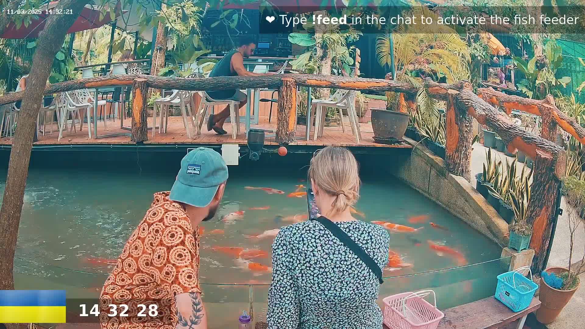 A man and a woman stand by an outdoor pond filled with orange and white koi fish, observing them while seated at an outdoor restaurant with a wooden deck and tropical plants.