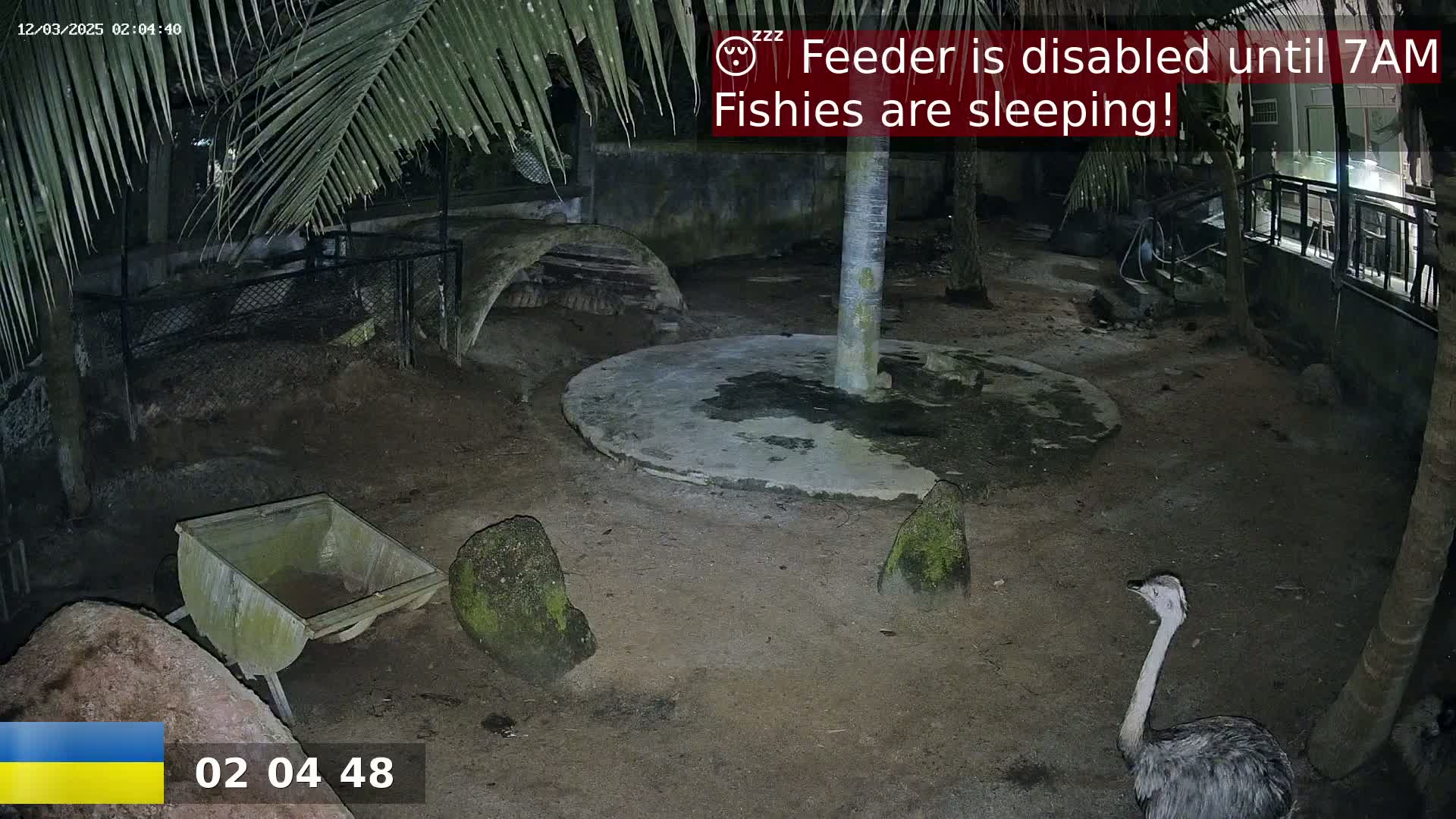 A nighttime scene in an enclosure shows an ostrich near a circular concrete area, several rocks, and a small empty cart;  palm trees are visible in the background.
