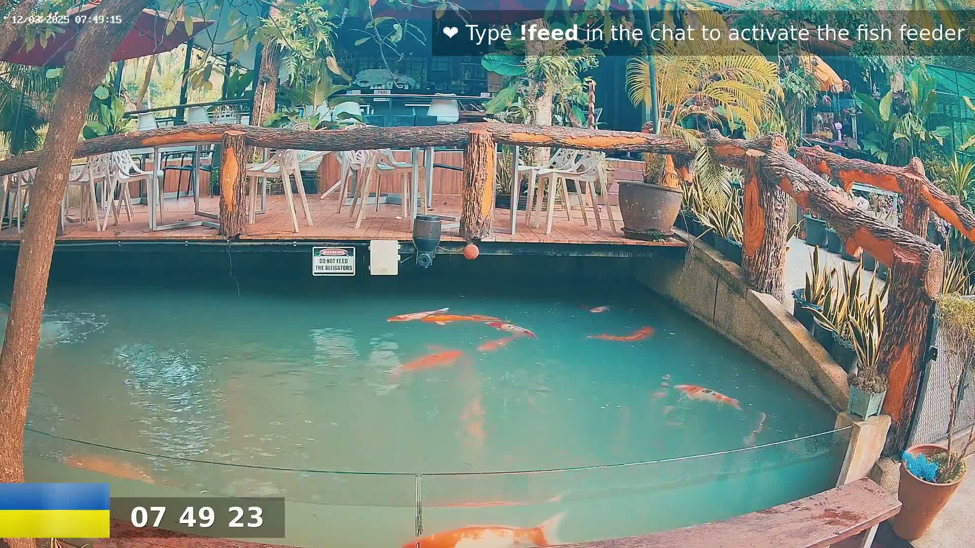 A partially-covered koi pond with several orange and white koi swimming in it is situated beneath an outdoor patio with wooden railings and white plastic chairs.