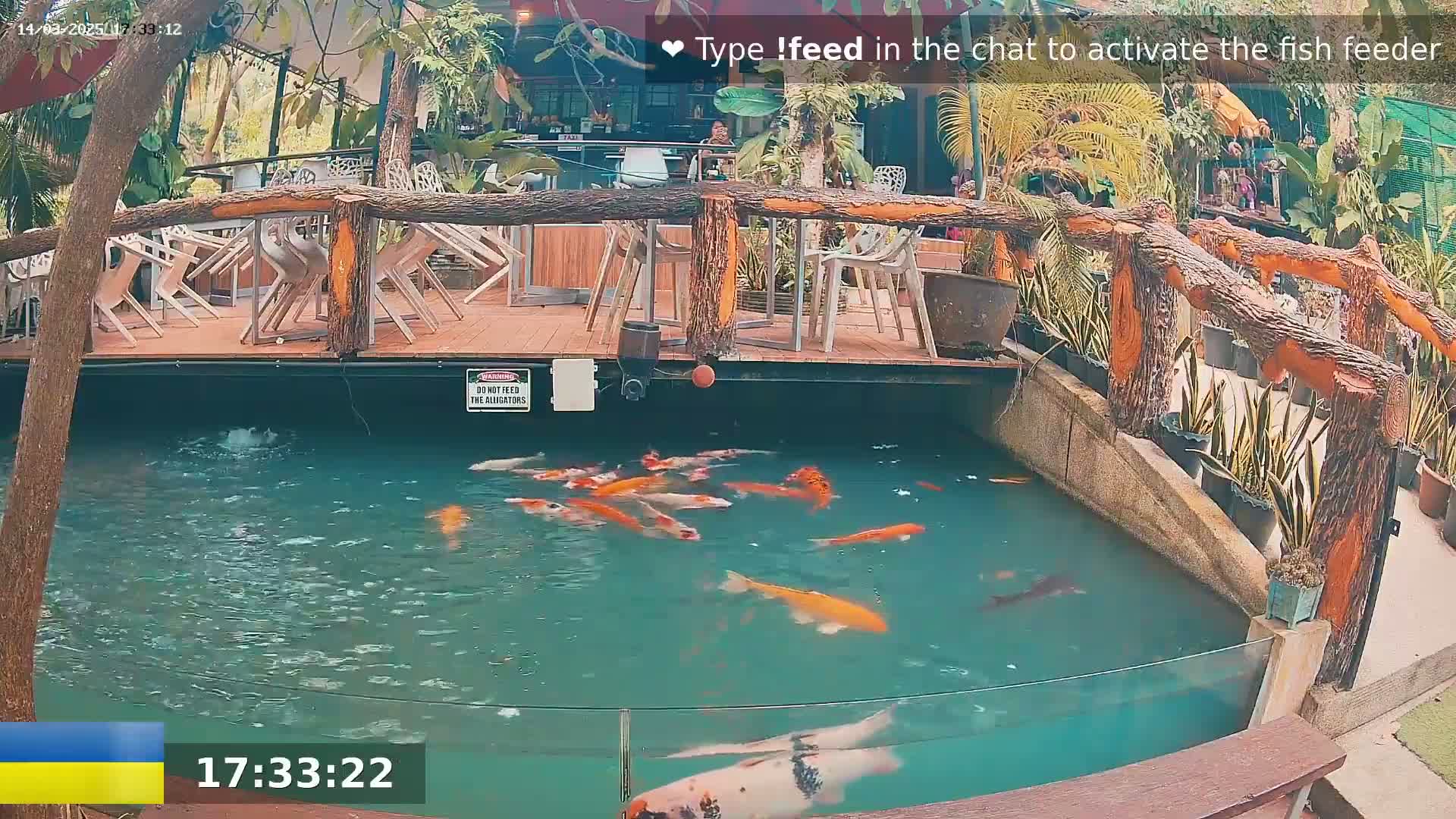 A koi pond with numerous orange and white fish is situated below an outdoor patio with wooden railings and several empty chairs and tables.