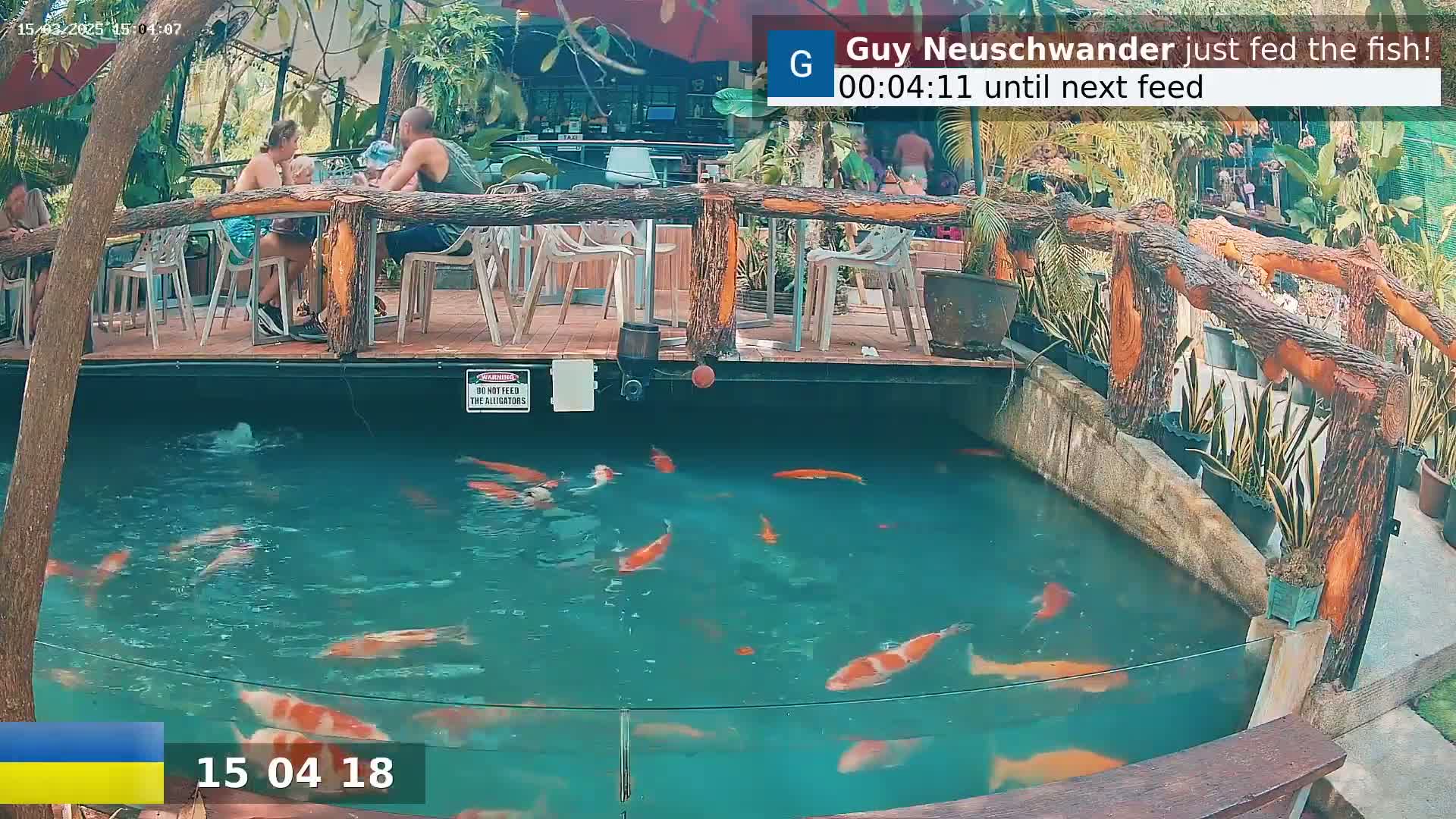 Koi swim in a pond next to an outdoor restaurant where several people are seated at tables.