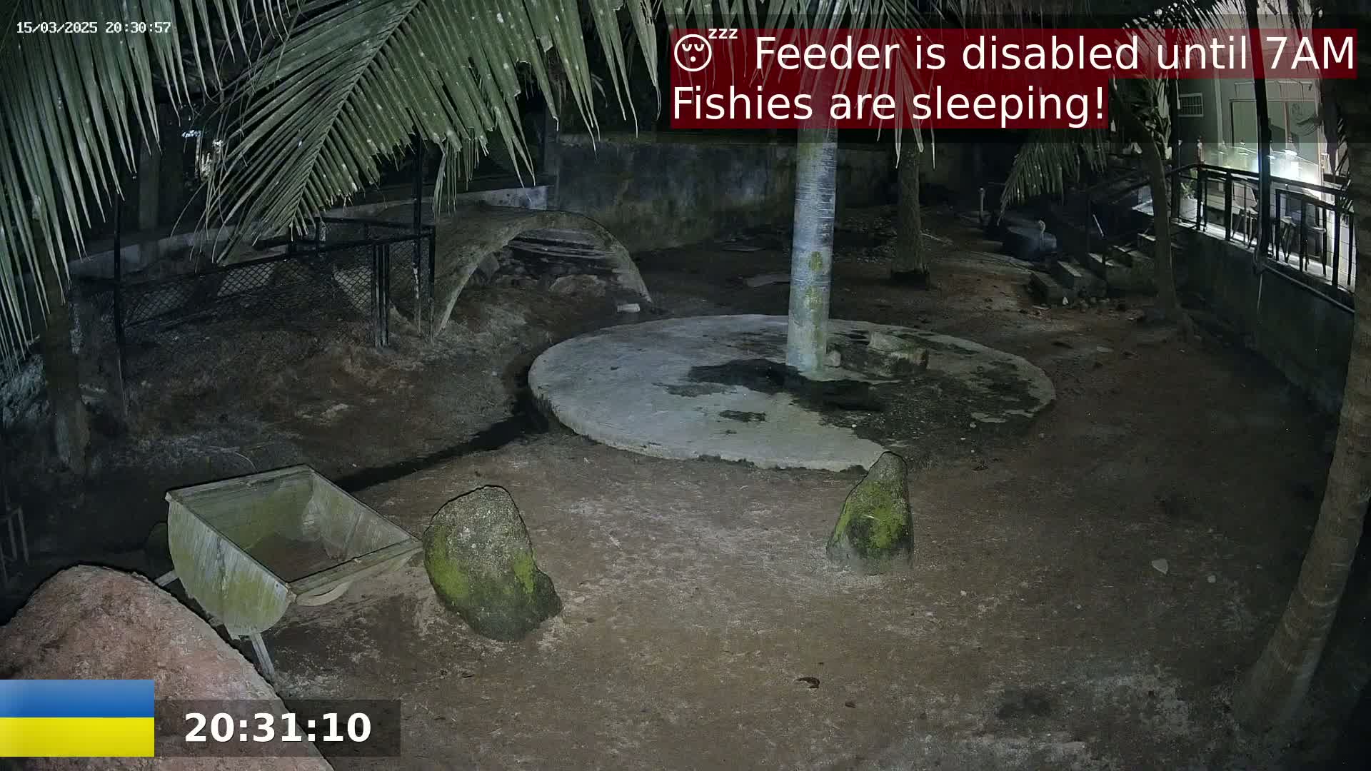 A nighttime, outdoor enclosure shows a dirt ground with several rocks, a wheelbarrow, a concrete circle, and palm trees under low-light conditions.