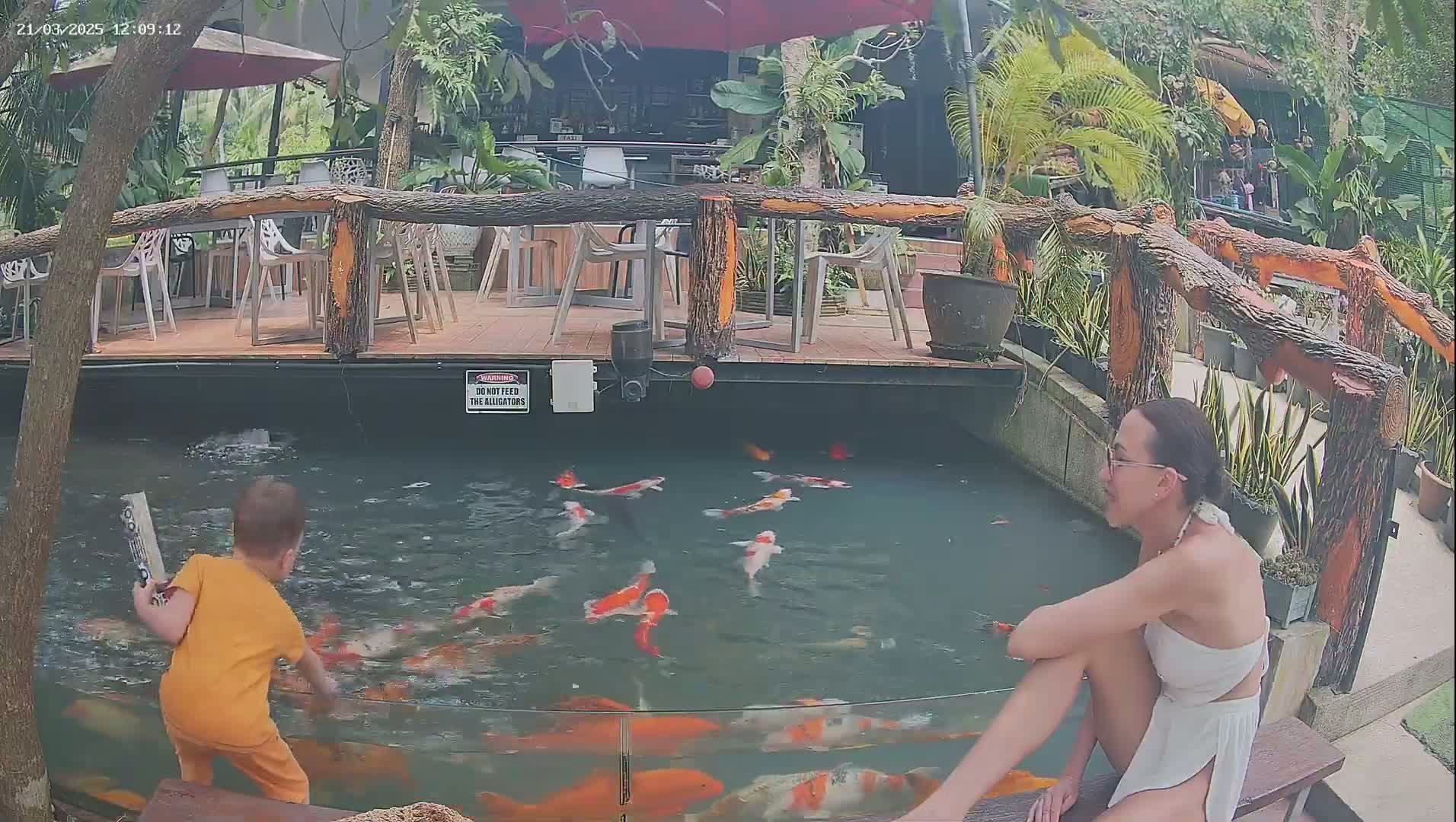 A toddler in an orange shirt and a woman in a white sundress are watching koi fish swim in a pond next to an outdoor restaurant.