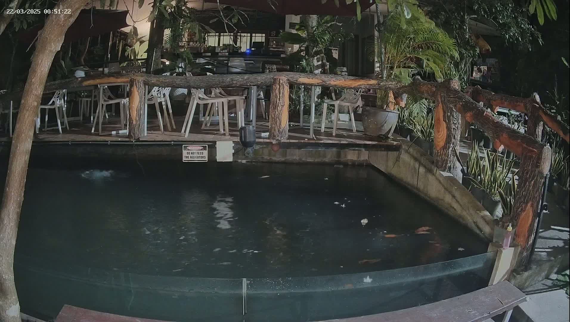 A nighttime outdoor scene shows a rectangular pond containing water and what appear to be fish, situated beneath a wooden deck with several empty chairs and potted plants.