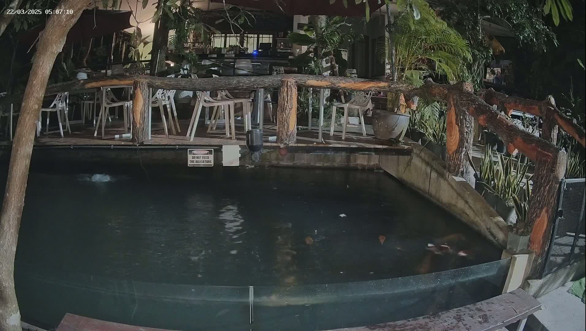 A nighttime view of an outdoor patio area with empty tables and chairs surrounding a pond containing fish, bordered by a rustic wooden railing.