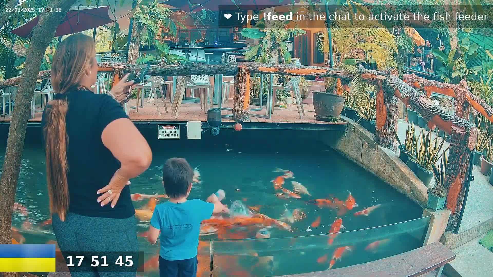 A woman takes a picture with her phone while a young boy feeds koi fish in a pond at an outdoor restaurant.