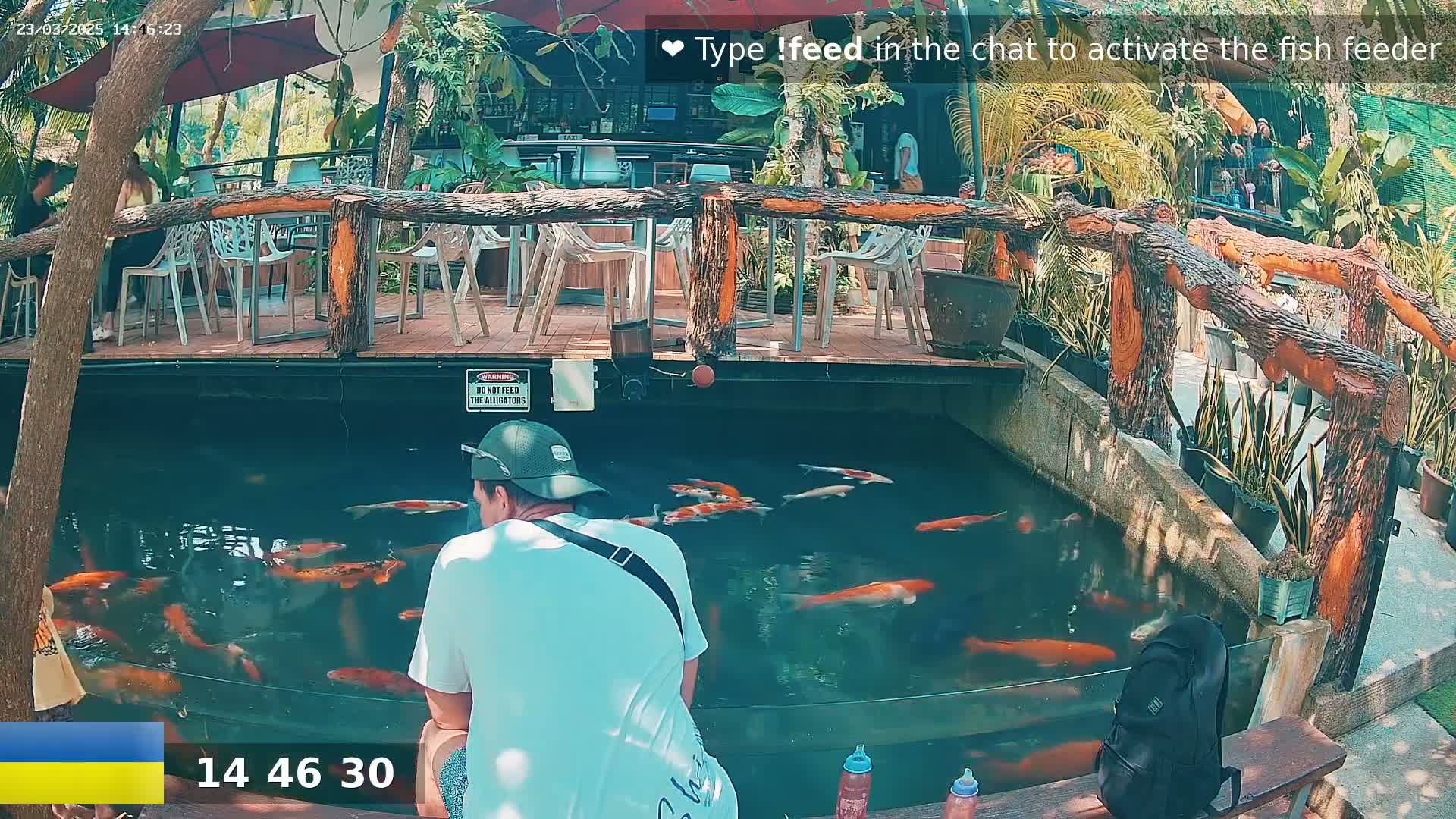 A person in a white shirt sits on a bench overlooking a koi pond next to an outdoor restaurant on a sunny day.