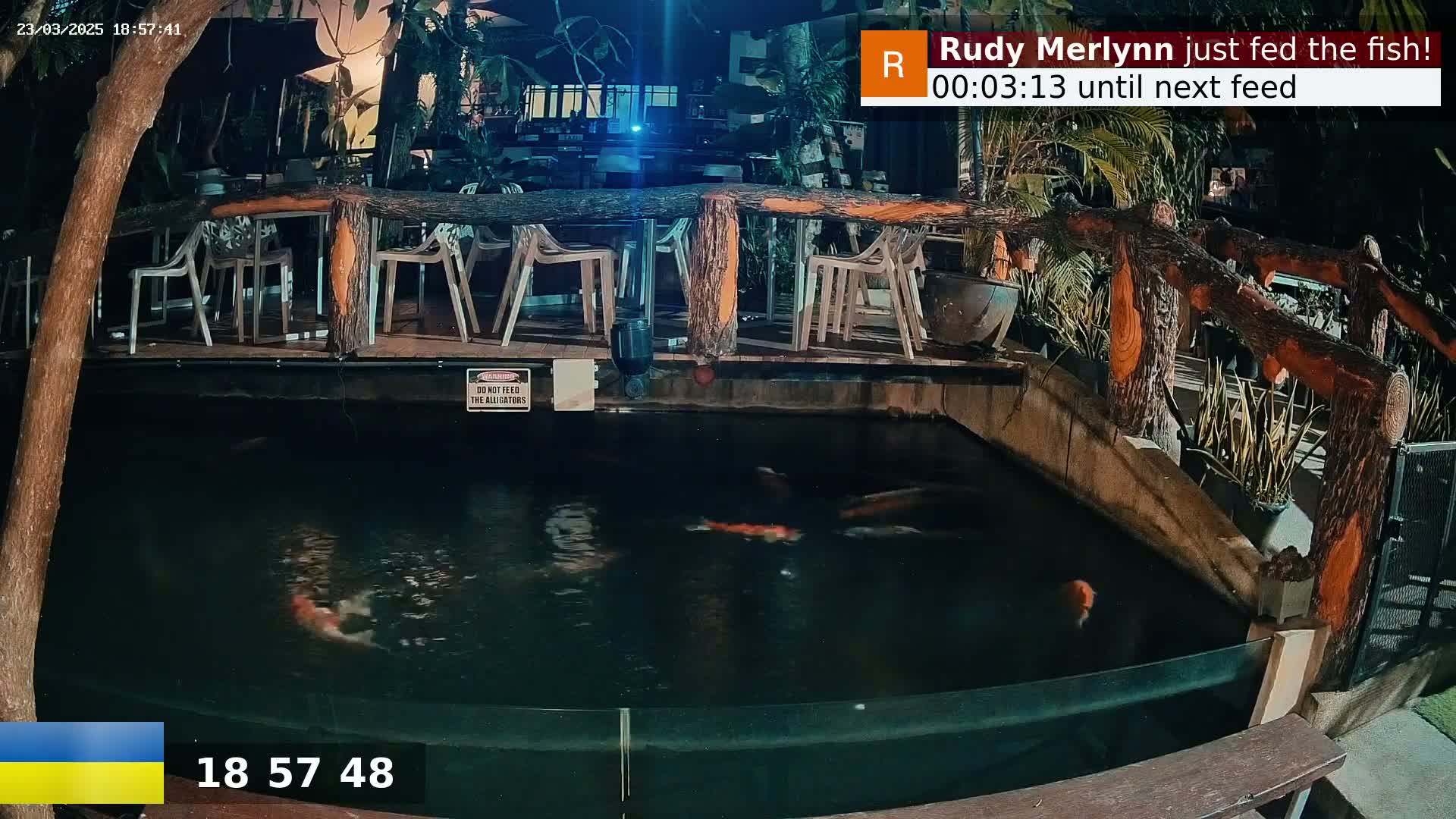 Koi fish swim in a dark pond at night, beneath a wooden bridge and outdoor seating area.