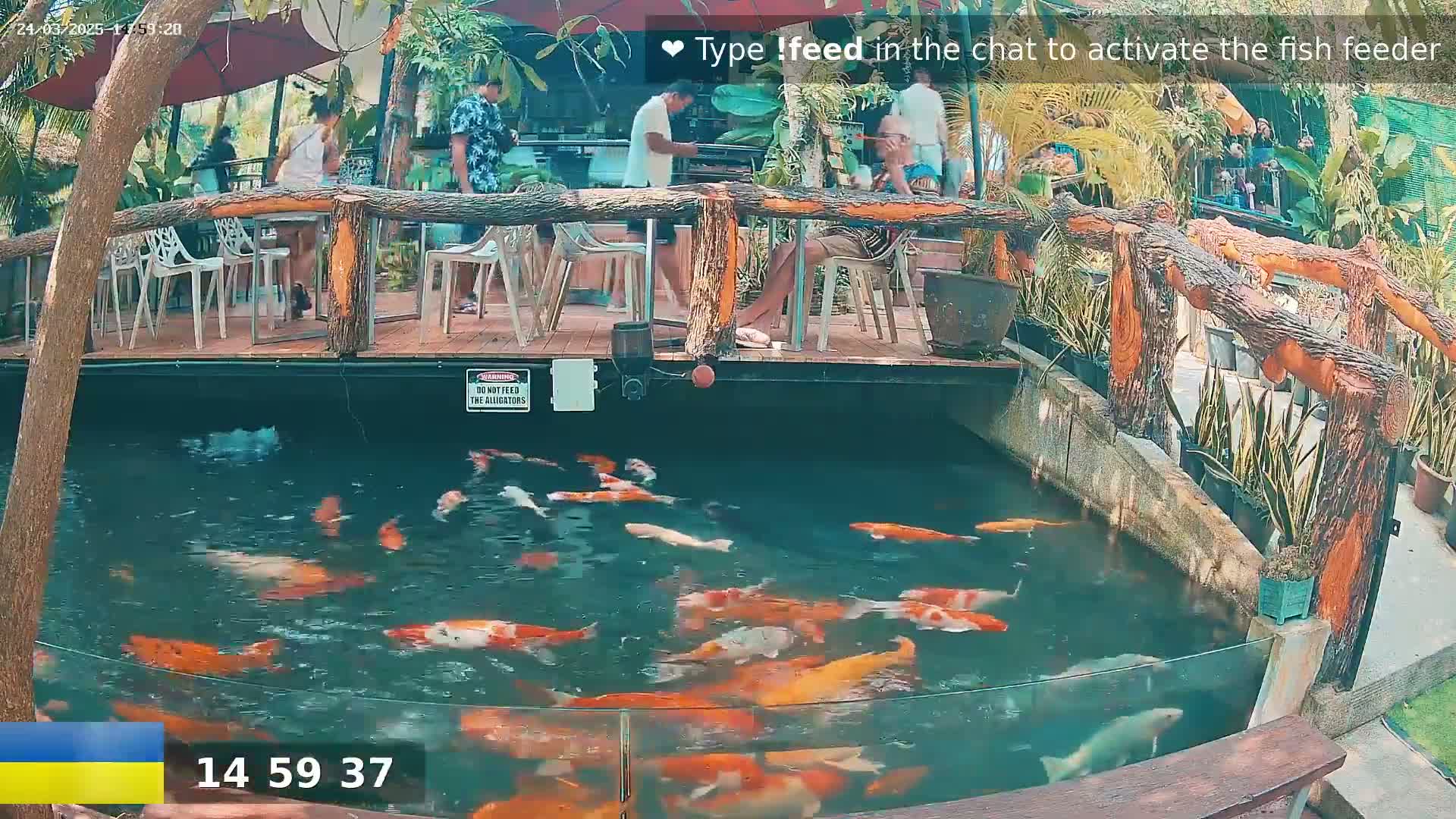 A koi pond filled with orange and white fish is situated beside an outdoor restaurant with people sitting at tables under a shaded patio on a sunny day.