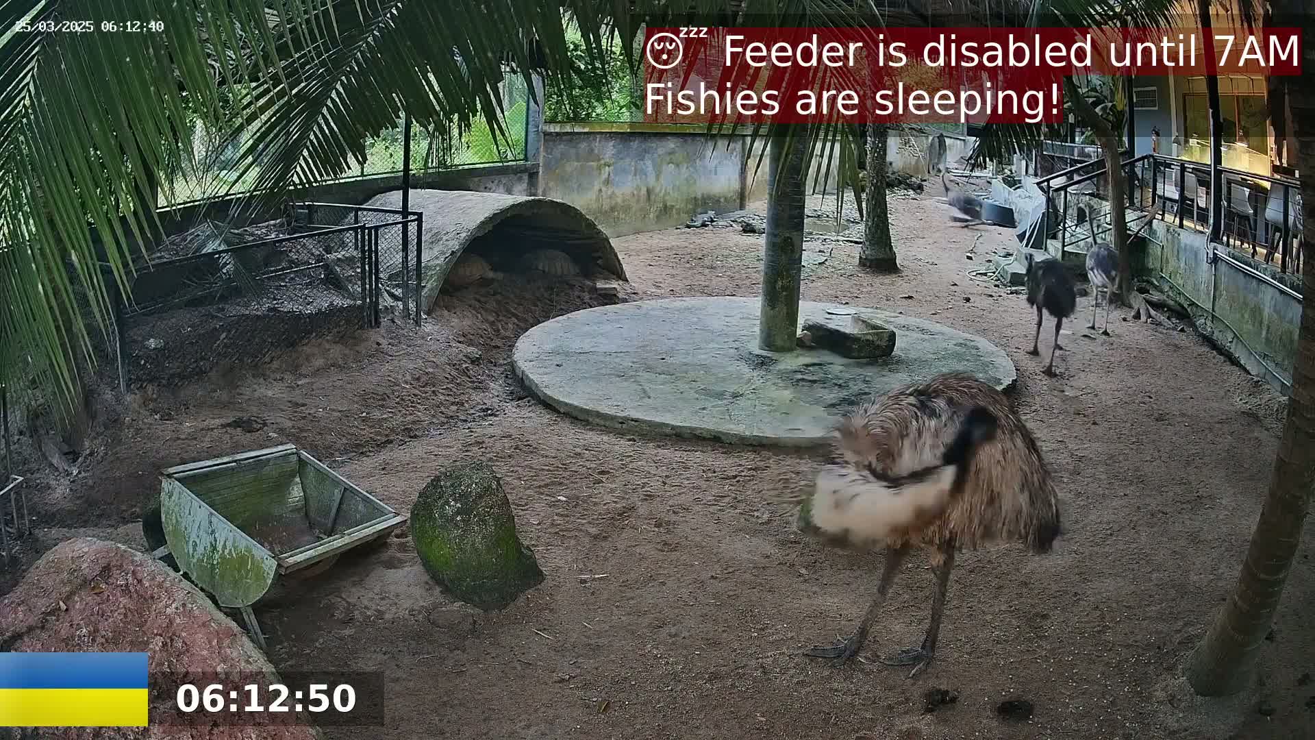 Two emus and several ostriches are in an outdoor enclosure, under partly cloudy skies.
