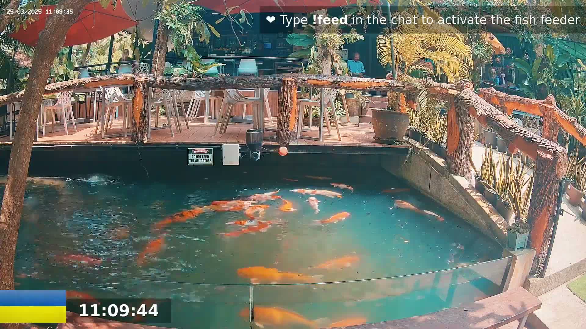 A koi pond filled with orange and white fish is situated below an outdoor patio with wooden furniture under a partly sunny sky.