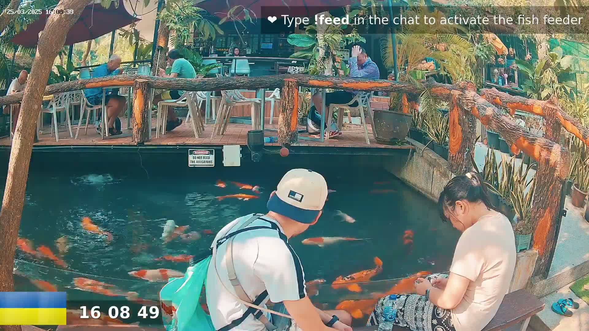 A pond filled with colorful koi fish is situated beneath a wooden deck where people are seated at outdoor tables on a sunny day.