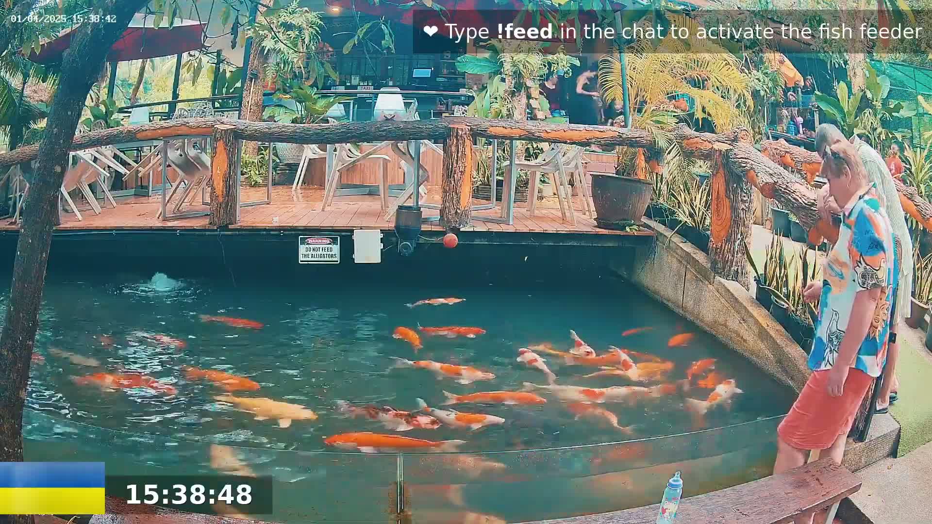 A pond filled with colorful koi fish is situated next to an outdoor restaurant with wooden decking and tropical plants, under a partly sunny sky.