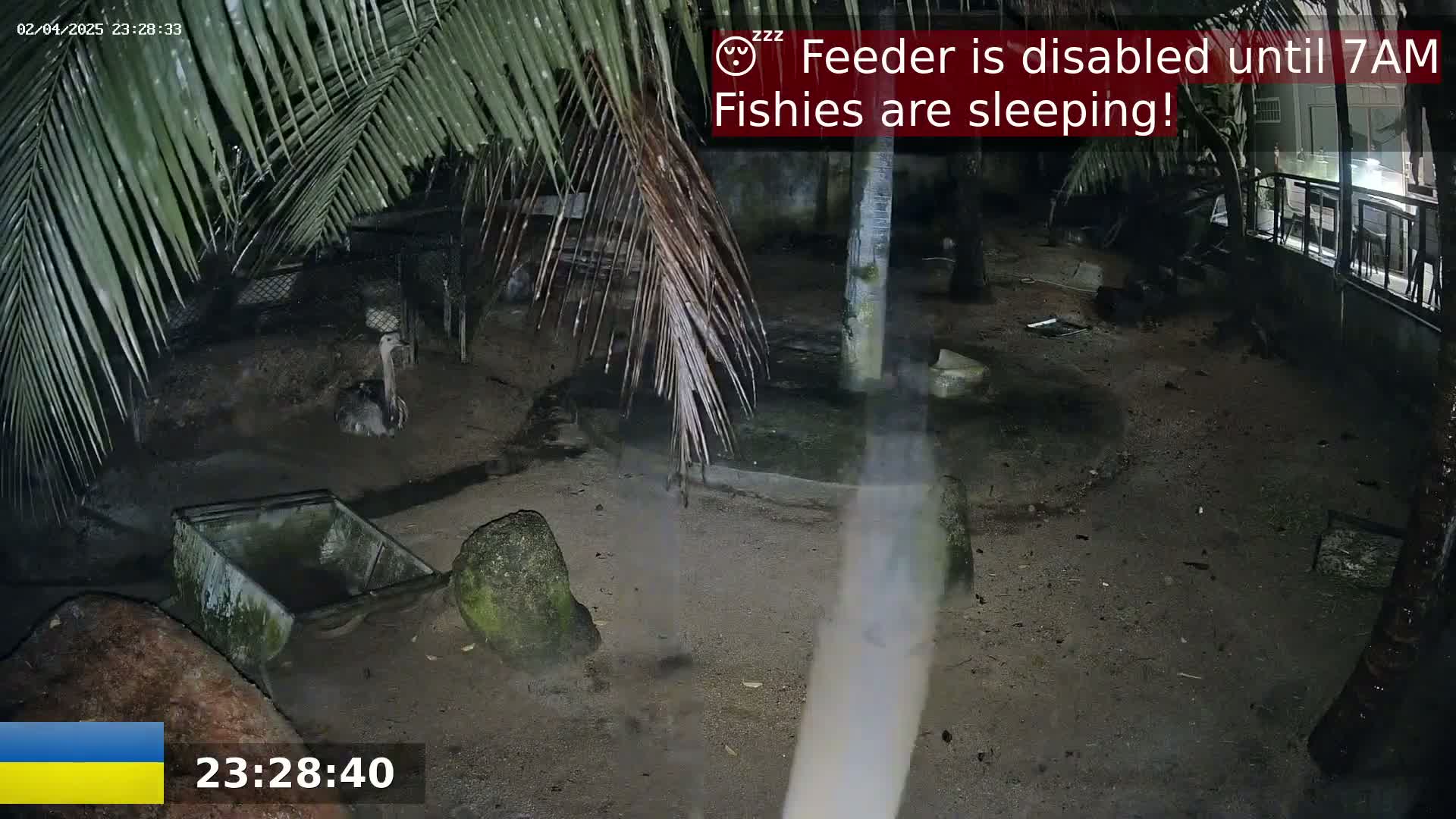A nighttime outdoor scene shows a bird, possibly a rhea, in an enclosure partially obscured by palm fronds, with a small, empty cart and rocks visible on the ground.