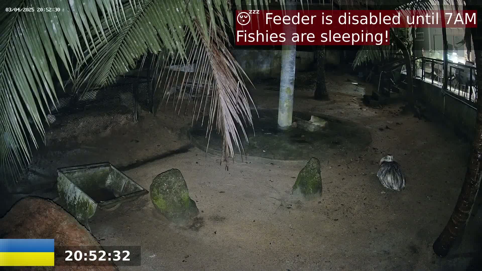 A nighttime outdoor scene shows a sandy enclosure with a bird, several rocks, and a small wheelbarrow, all under palm trees.