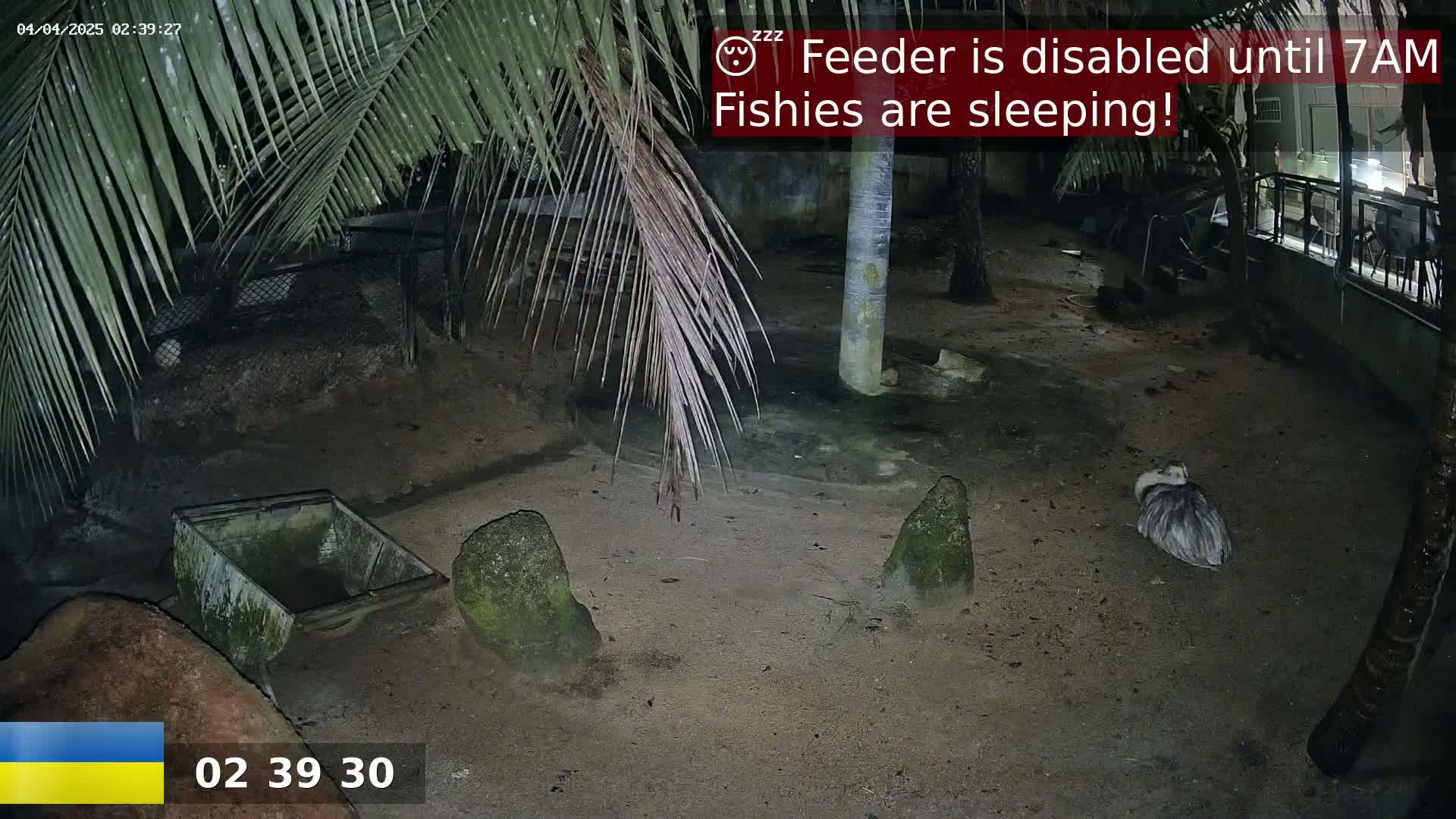 A nighttime outdoor scene shows a bird resting on the ground near a palm tree and a small cart, under dark, ambient lighting.