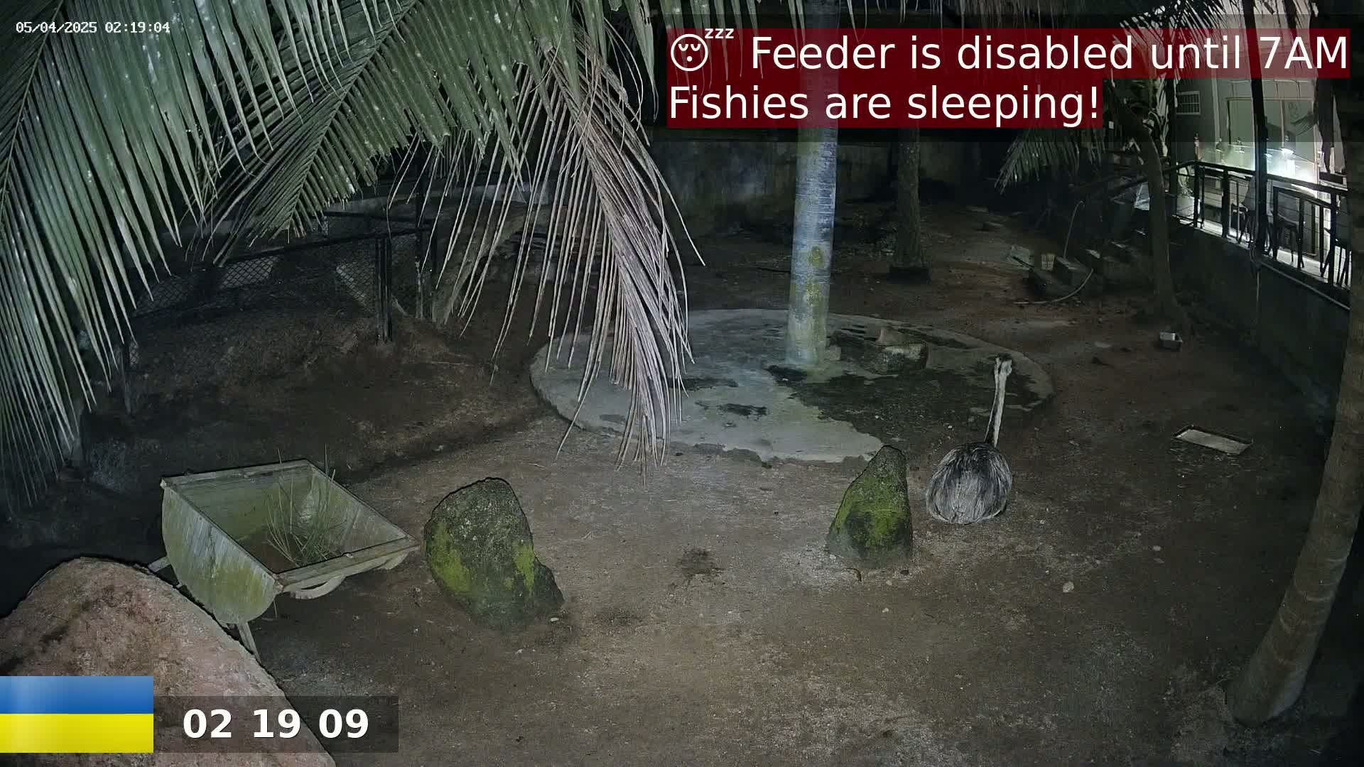 An ostrich stands in a dark, outdoor enclosure at night, near a wheelbarrow and under palm trees.