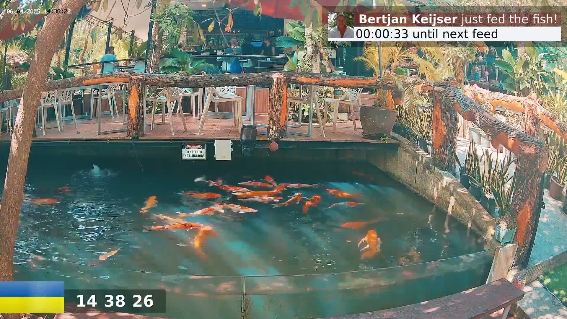A koi pond with numerous orange and white fish is situated next to an outdoor patio with wooden furniture under a partly sunny sky.