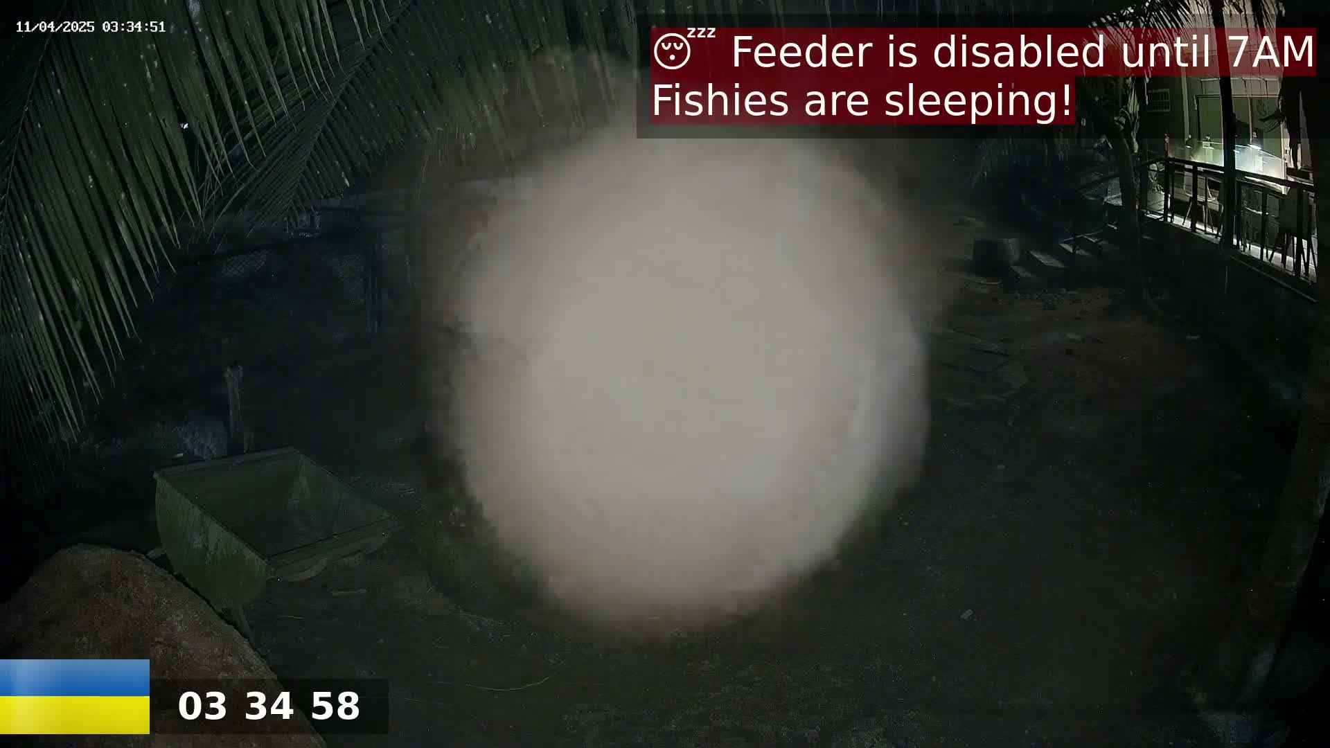 A large, blurry, white cloud of dust or mist obscures the center of a nighttime outdoor scene, near a wheelbarrow and under palm fronds.