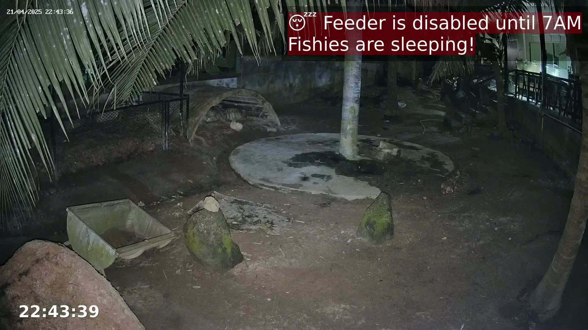 A nighttime, outdoor enclosure shows a dirt ground with several rocks, a small concrete circle, a trough, and a curved shelter under palm fronds.