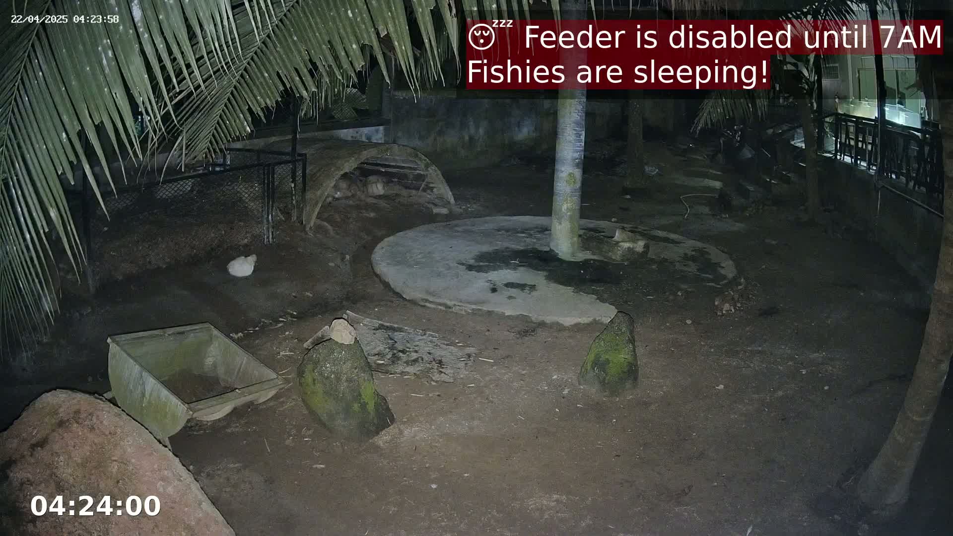 A nighttime outdoor scene shows a dirt enclosure with several animals, a small structure, and a trough, under the cover of palm fronds.