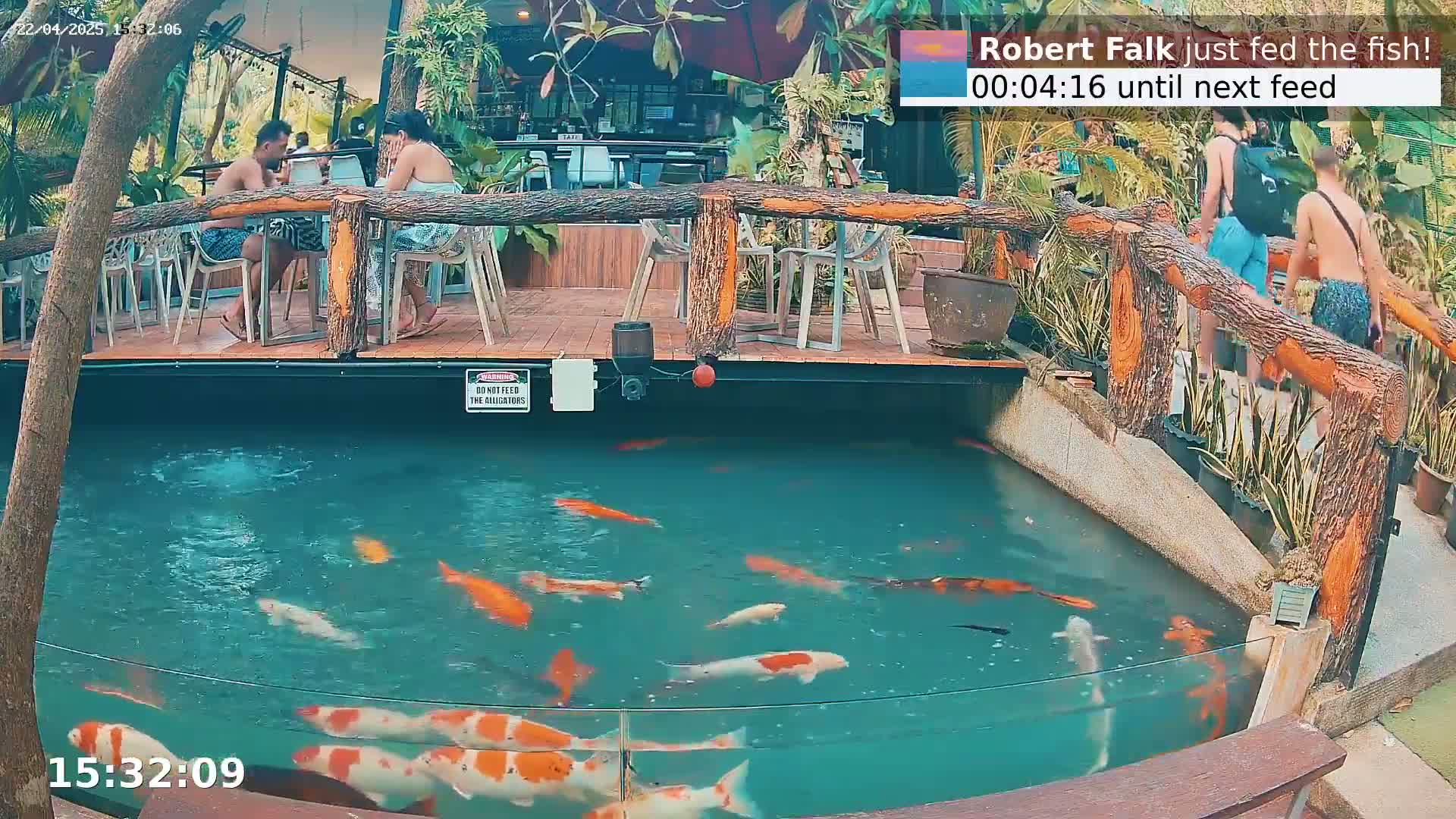 A koi pond filled with colorful fish is situated below an outdoor patio where people are sitting at tables, surrounded by tropical plants in sunny weather.