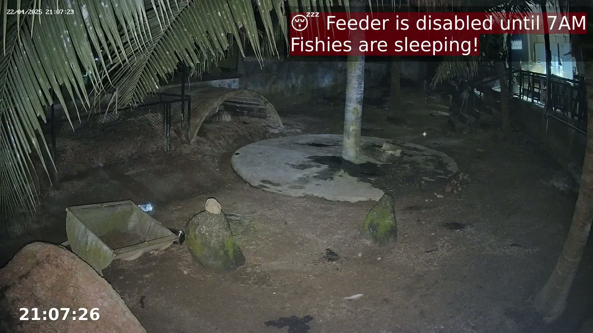 A nighttime outdoor scene shows a dark dirt ground with several rocks, a concrete circle, a small metal cart, and part of a palm tree, under a mostly dark sky.
