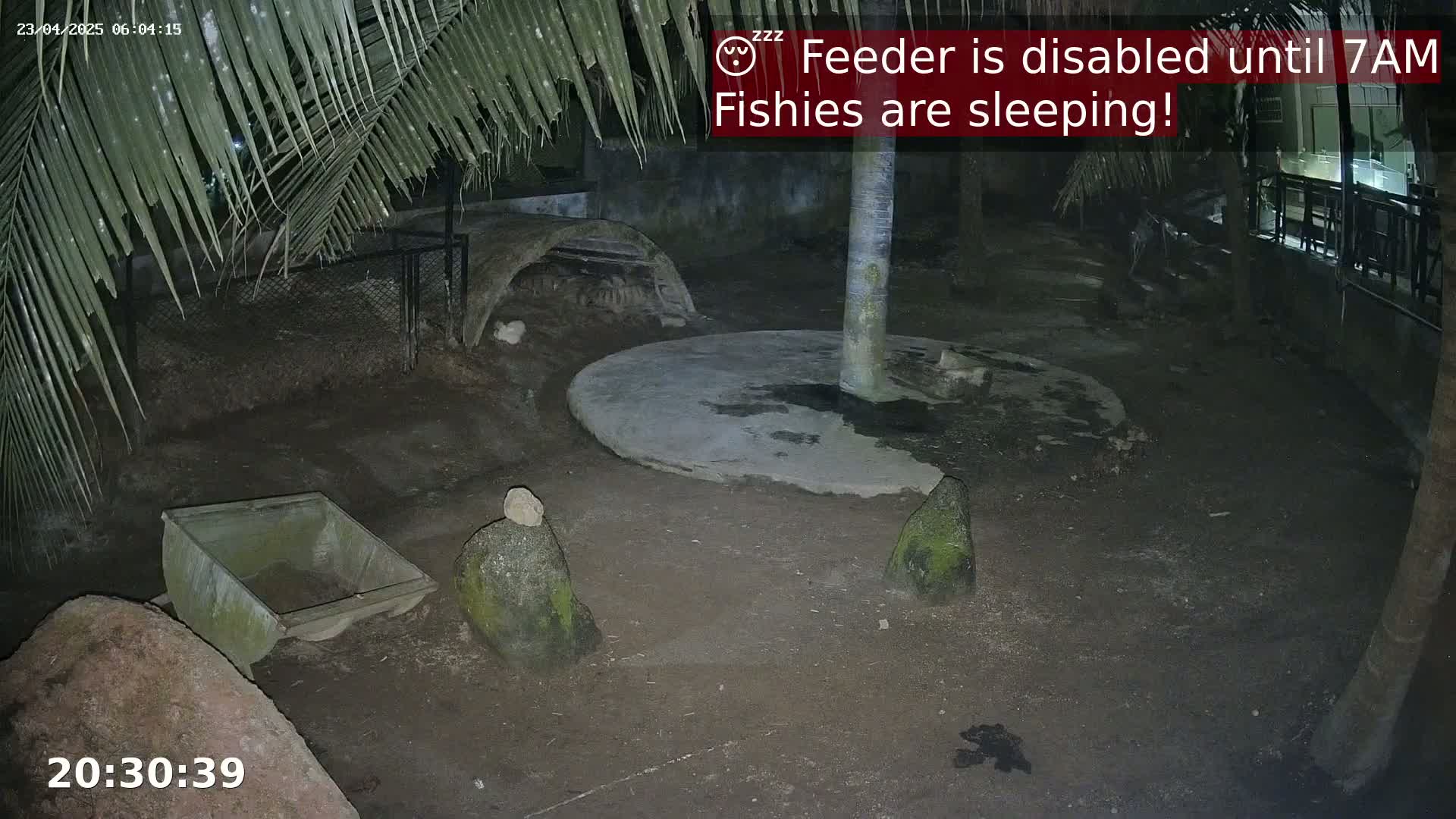 A nighttime outdoor scene shows a dark, dirt enclosure with several rocks, a small shelter, and a trough-like container, partially under a palm tree.