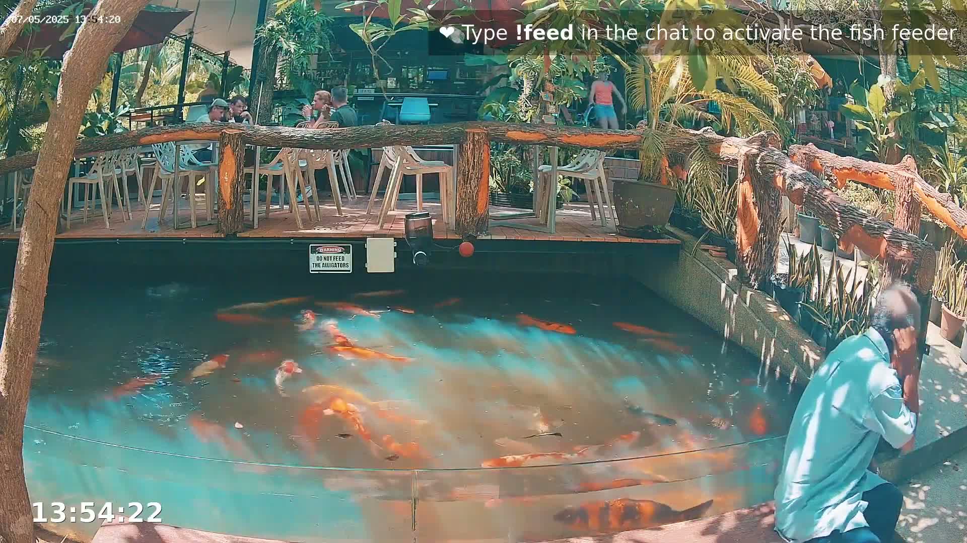 A large koi pond with many orange and white fish is situated beneath an outdoor patio with wooden furniture and several people sitting at tables, all under a partly sunny sky.