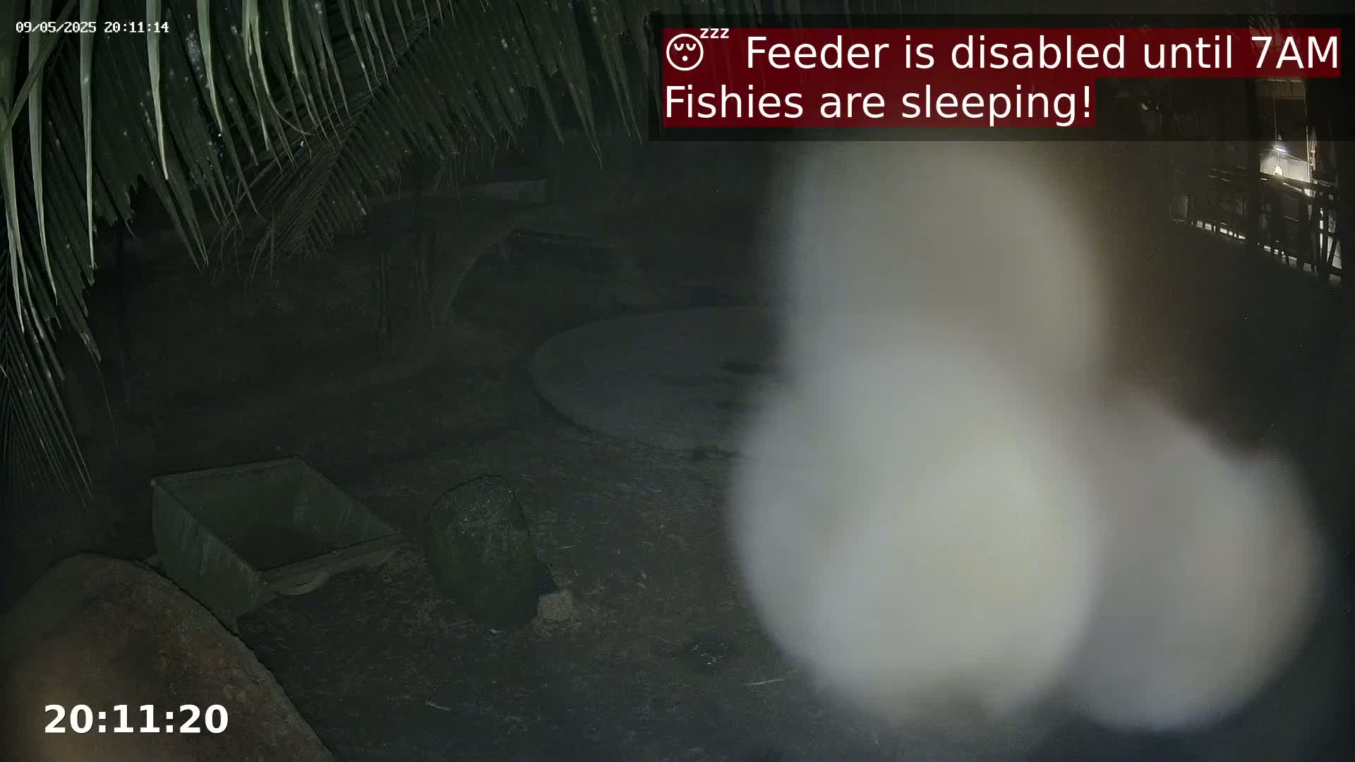 A nighttime outdoor scene shows a dark, partially visible area with a wheelbarrow and a large, blurry object in the foreground, under a palm tree's fronds.