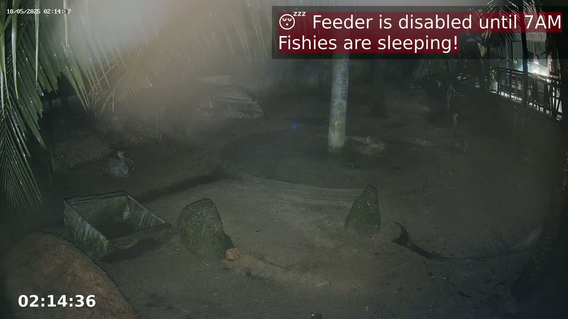 A nighttime, dimly lit outdoor enclosure shows a sandy area with rocks, a small cart, and foliage under hazy conditions.