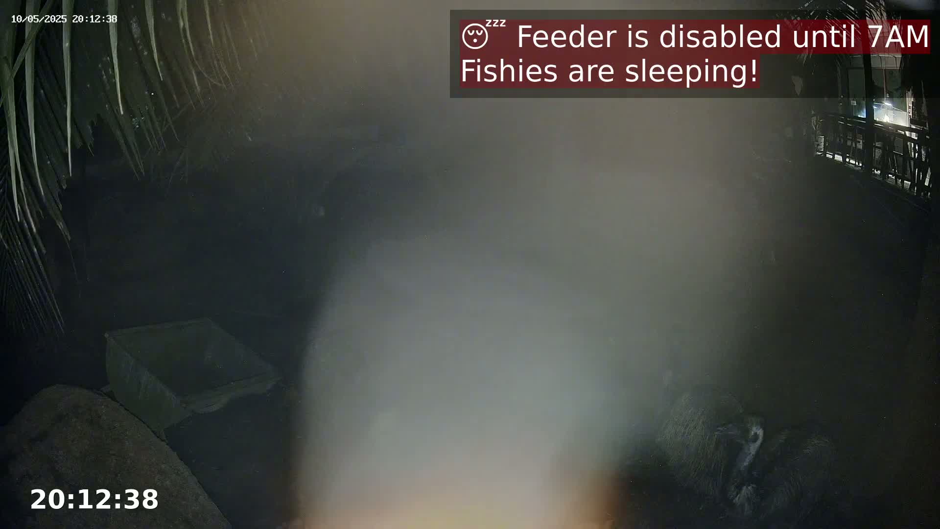 A nighttime, hazy view of a dark enclosure shows a partially visible container and indistinct shapes that appear to be animals huddled together.