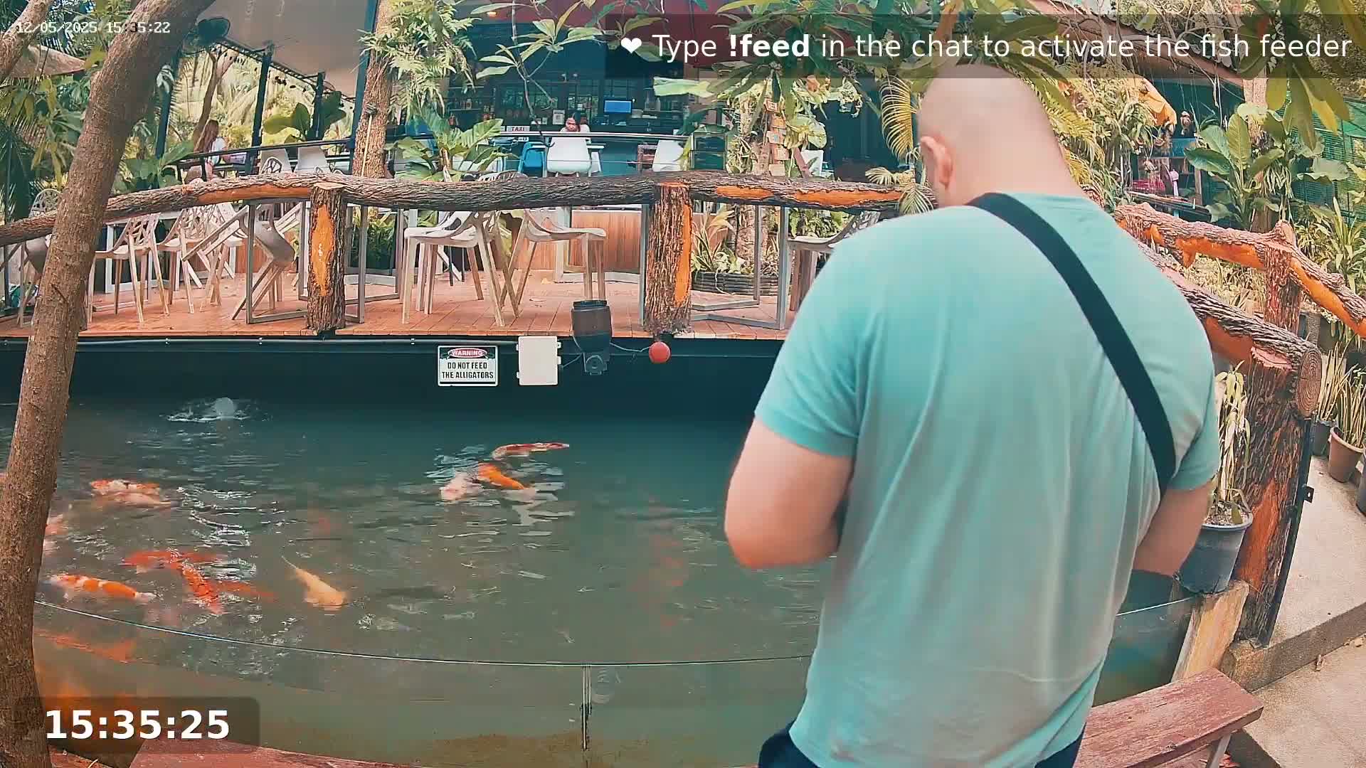 A man in a teal shirt stands near an outdoor koi pond surrounded by lush tropical plants and a wooden deck with outdoor seating.