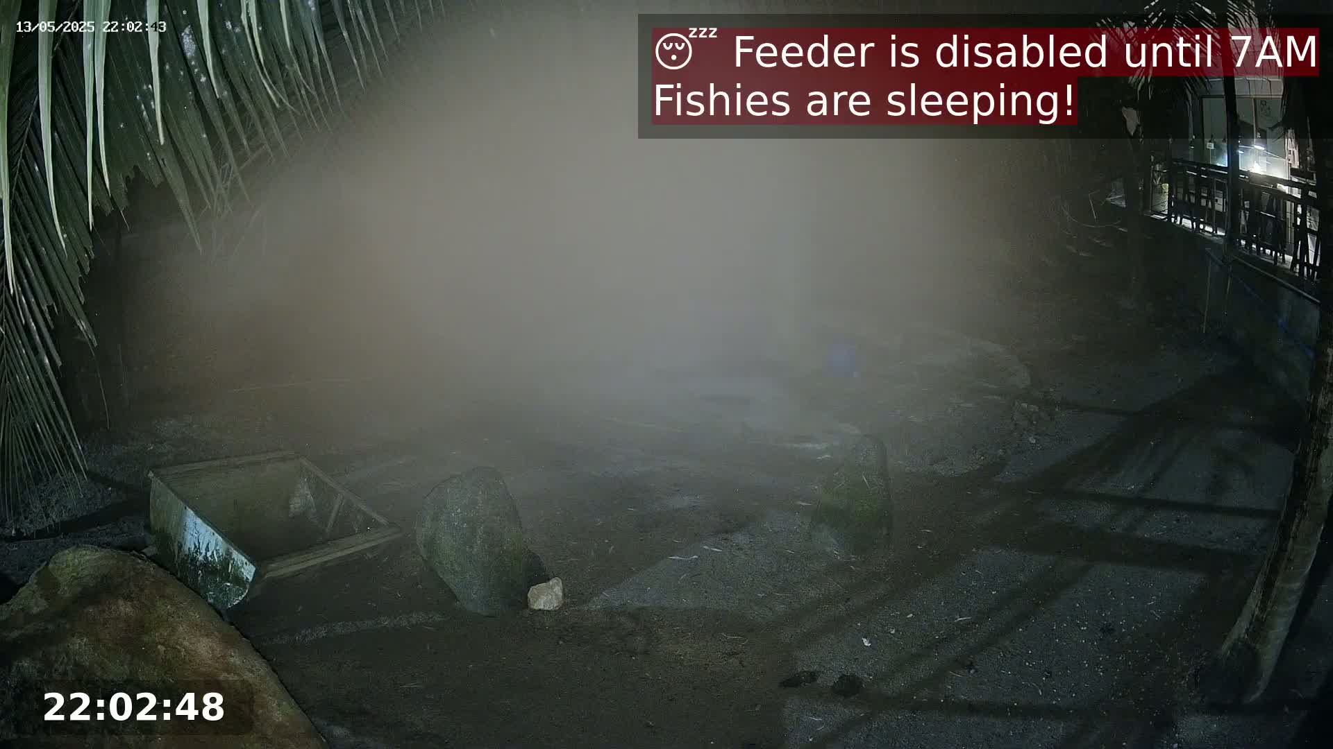 A nighttime, foggy outdoor scene shows a dark, empty area with a few rocks and a square container, partially obscured by fog and shadows under palm fronds.