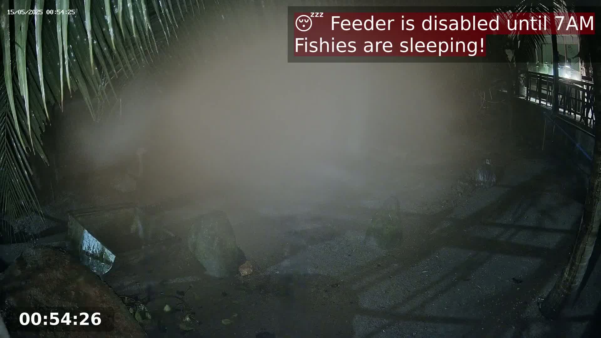 A nighttime, foggy scene shows a dark, gravelly area partially obscured by mist, with parts of a wooden structure and some foliage visible in the background.