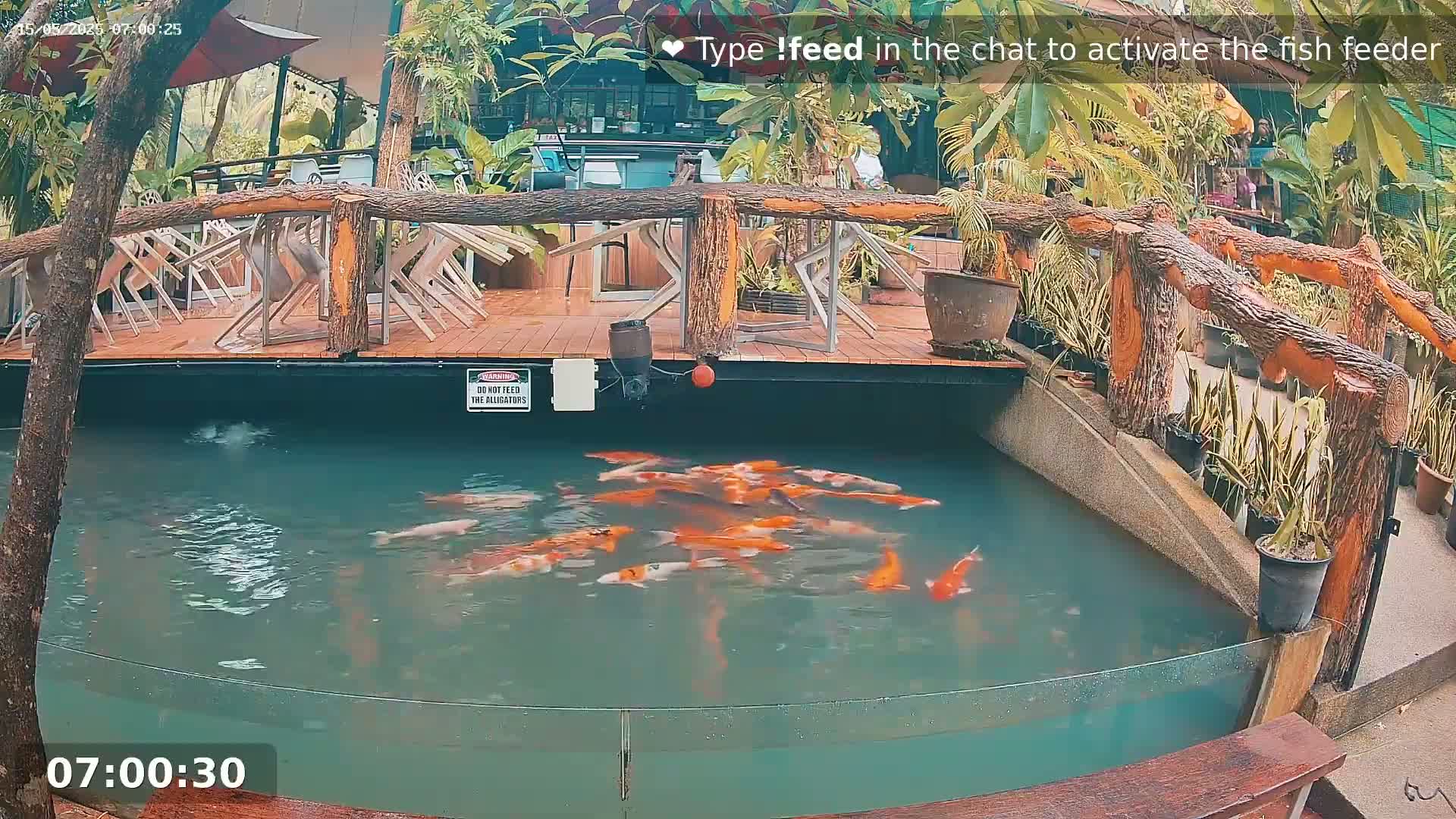Zoo Cafe · Feed the Life of Fishes, Emus, Deers, Turtles, Malas  Live Cam  - Amphoe Ko Pha - Ngan, Surat Thani, Thailand