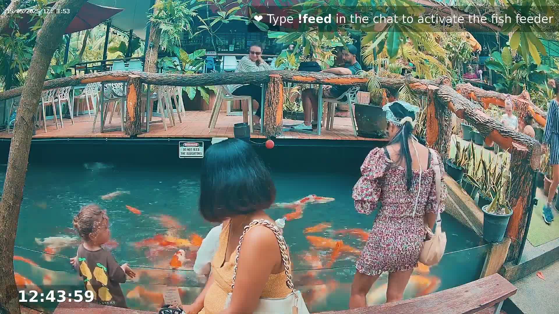 Zoo Cafe · Feed the Life of Fishes, Emus, Deers, Turtles, Malas  Live Cam  - Amphoe Ko Pha - Ngan, Surat Thani, Thailand