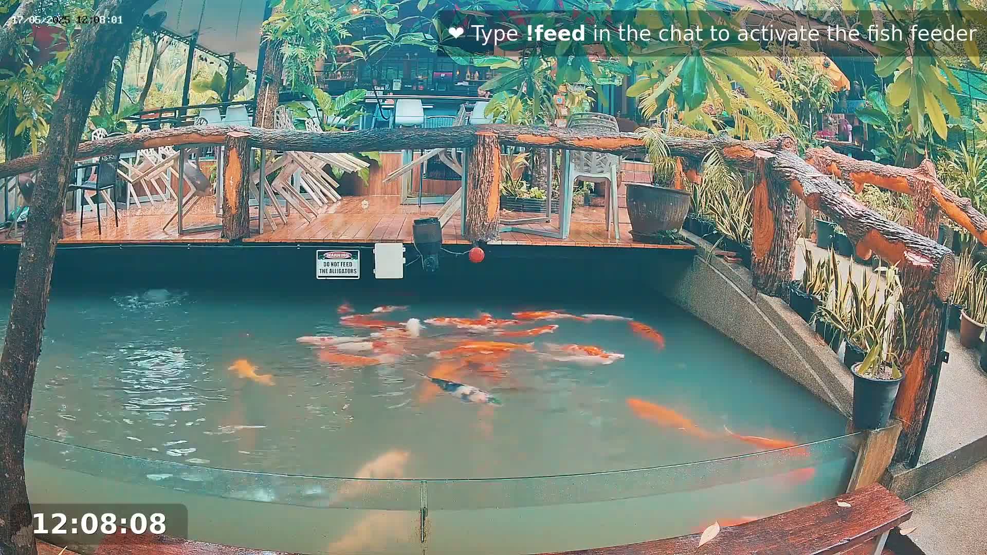Zoo Cafe · Feed the Life of Fishes, Emus, Deers, Turtles, Malas  Live Cam  - Amphoe Ko Pha - Ngan, Surat Thani, Thailand