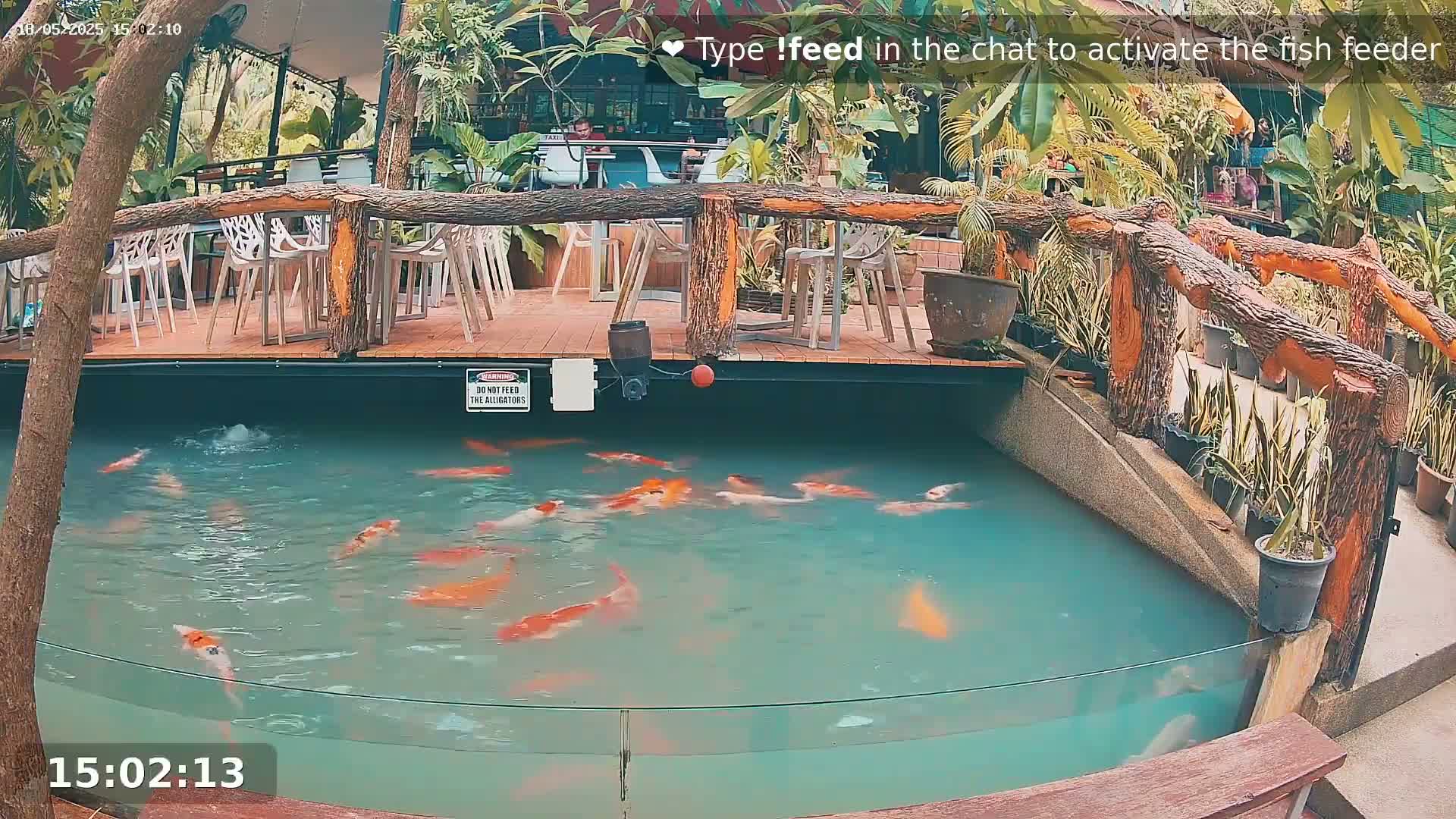 A partially submerged, rectangular koi pond containing numerous orange and white koi fish is situated beneath an outdoor patio with wooden railings and seating.