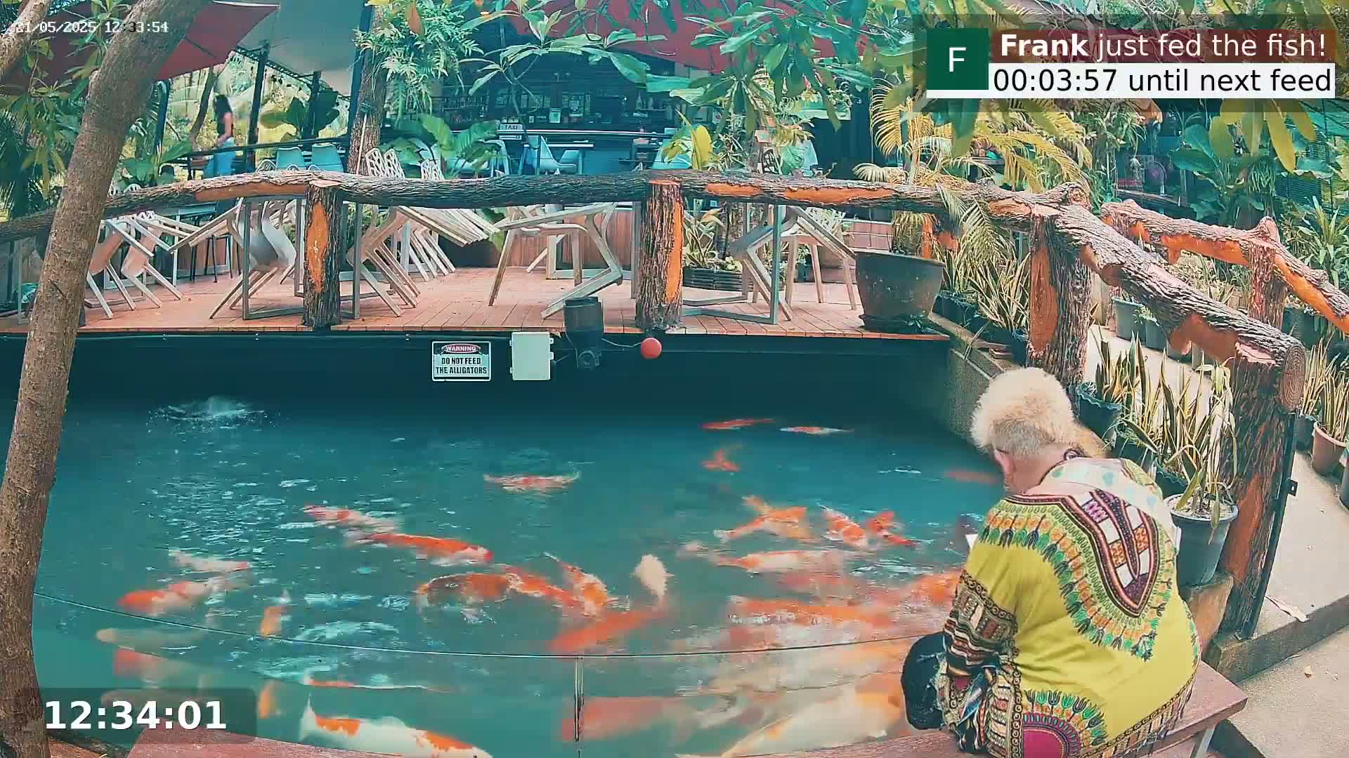 Zoo Cafe · Feed the Life of Fishes, Emus, Deers, Turtles, Malas  Live Cam  - Amphoe Ko Pha - Ngan, Surat Thani, Thailand