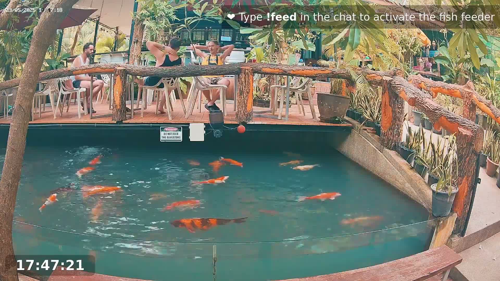 Several people relax at an outdoor patio overlooking a pond filled with orange and white koi fish.