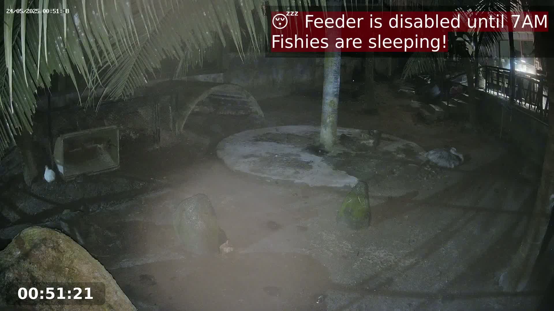 At night, under palm fronds, several animals are resting in a dimly lit enclosure, near a central concrete circle.