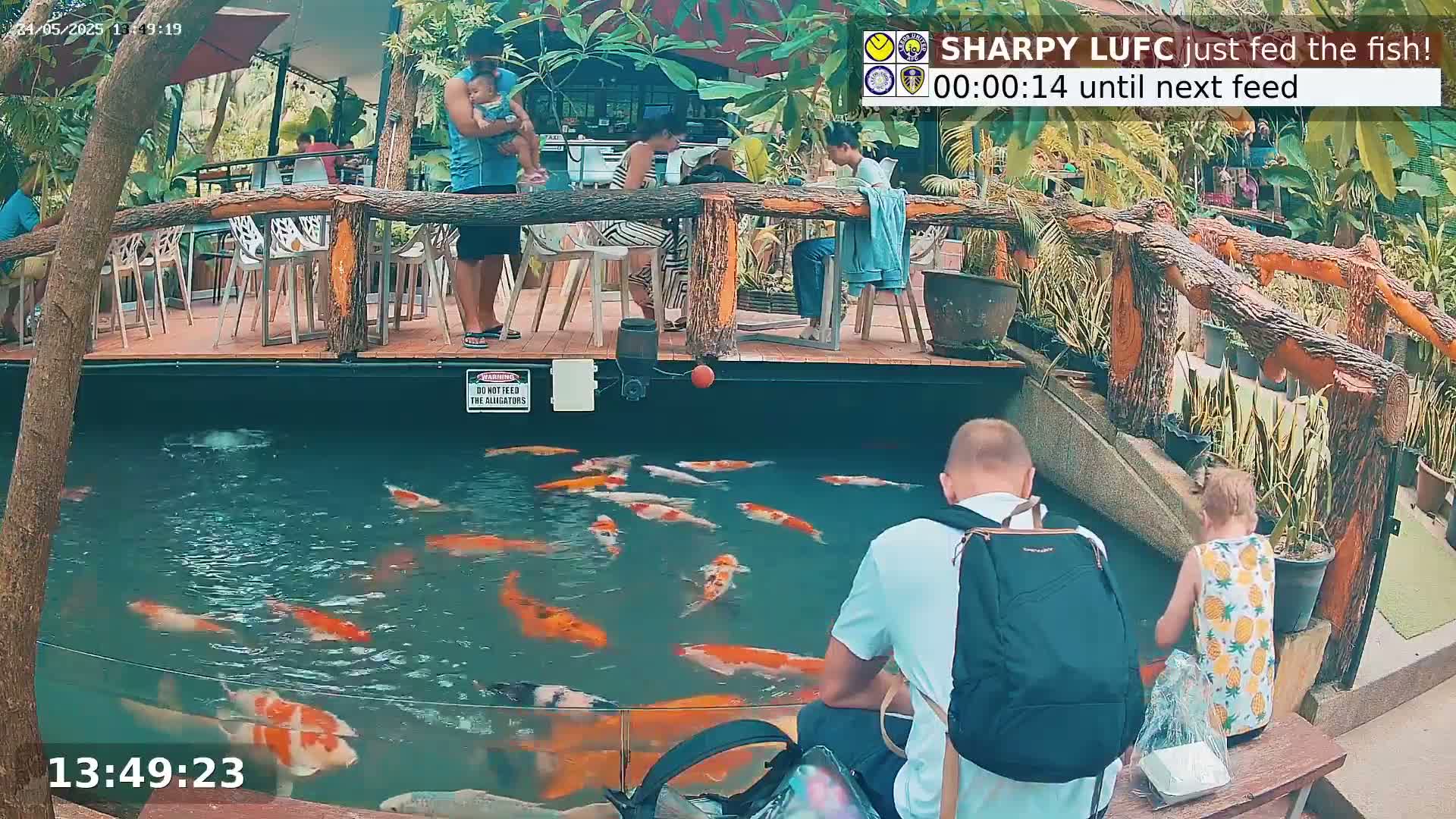 Zoo Cafe · Feed the Life of Fishes, Emus, Deers, Turtles, Malas  Live Cam  - Amphoe Ko Pha - Ngan, Surat Thani, Thailand